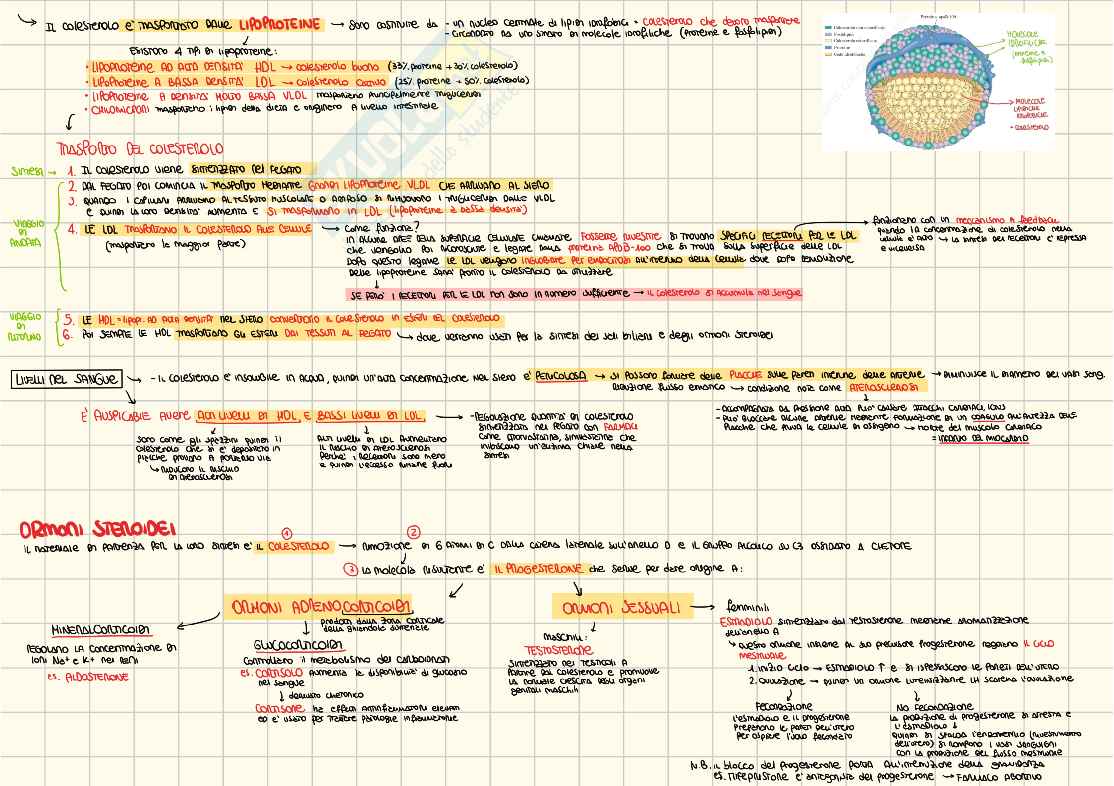 Appunti Propedeutica biochimica Pag. 6