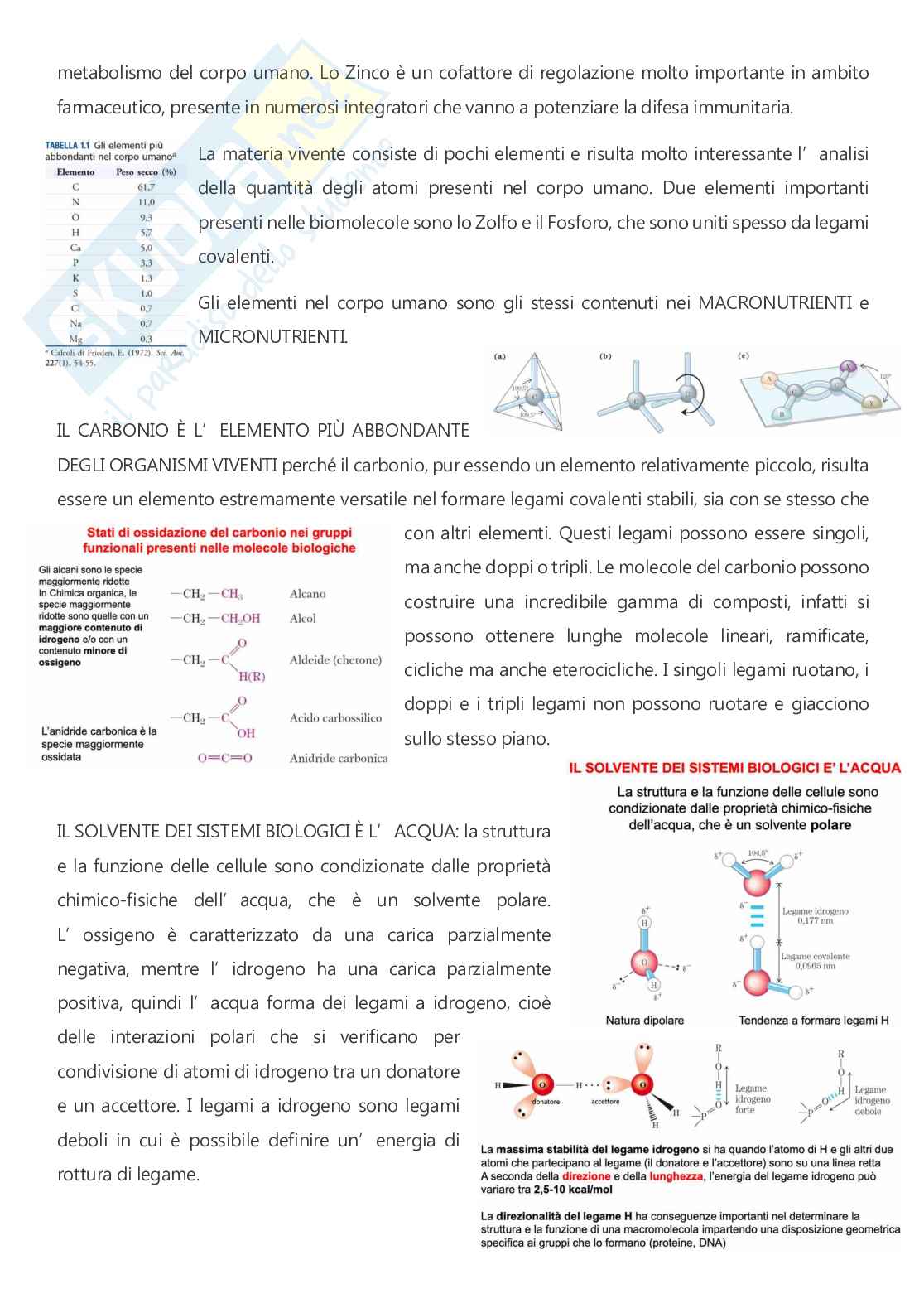 Biochimica - A.A. 2025/2026  Pag. 2