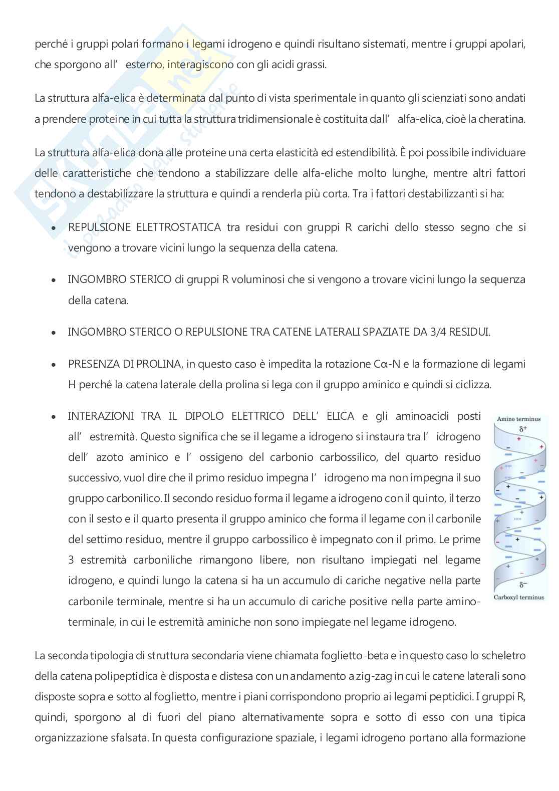 Biochimica - A.A. 2025/2026  Pag. 21