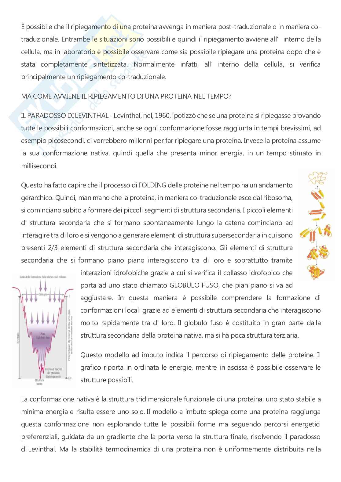 Biochimica - A.A. 2025/2026  Pag. 26
