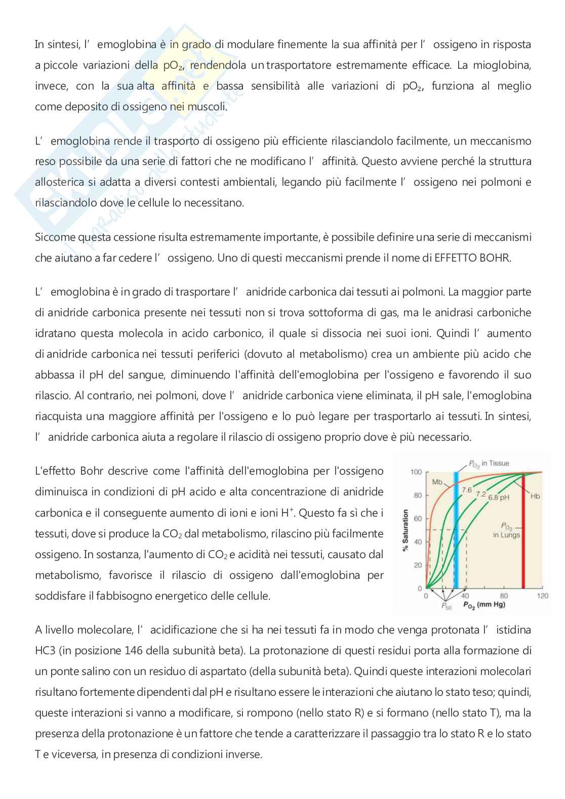 Biochimica - A.A. 2025/2026  Pag. 41