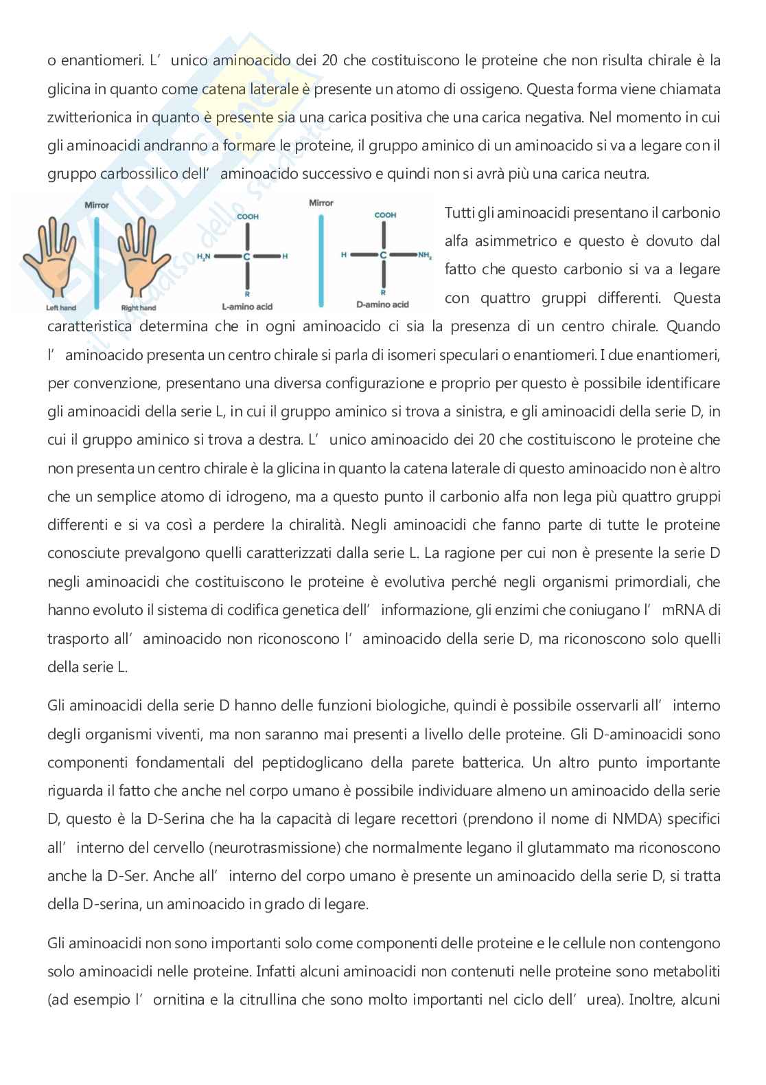 Biochimica - A.A. 2025/2026  Pag. 6