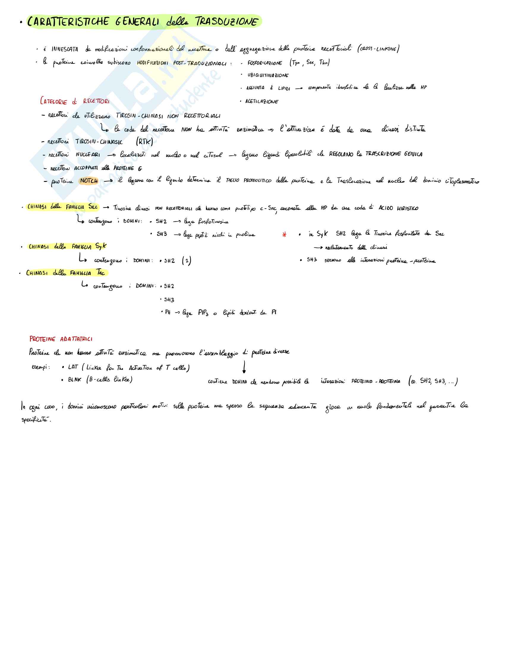 Recettori e vie di trasduzione. Schemi e appunti di immunologia Pag. 1