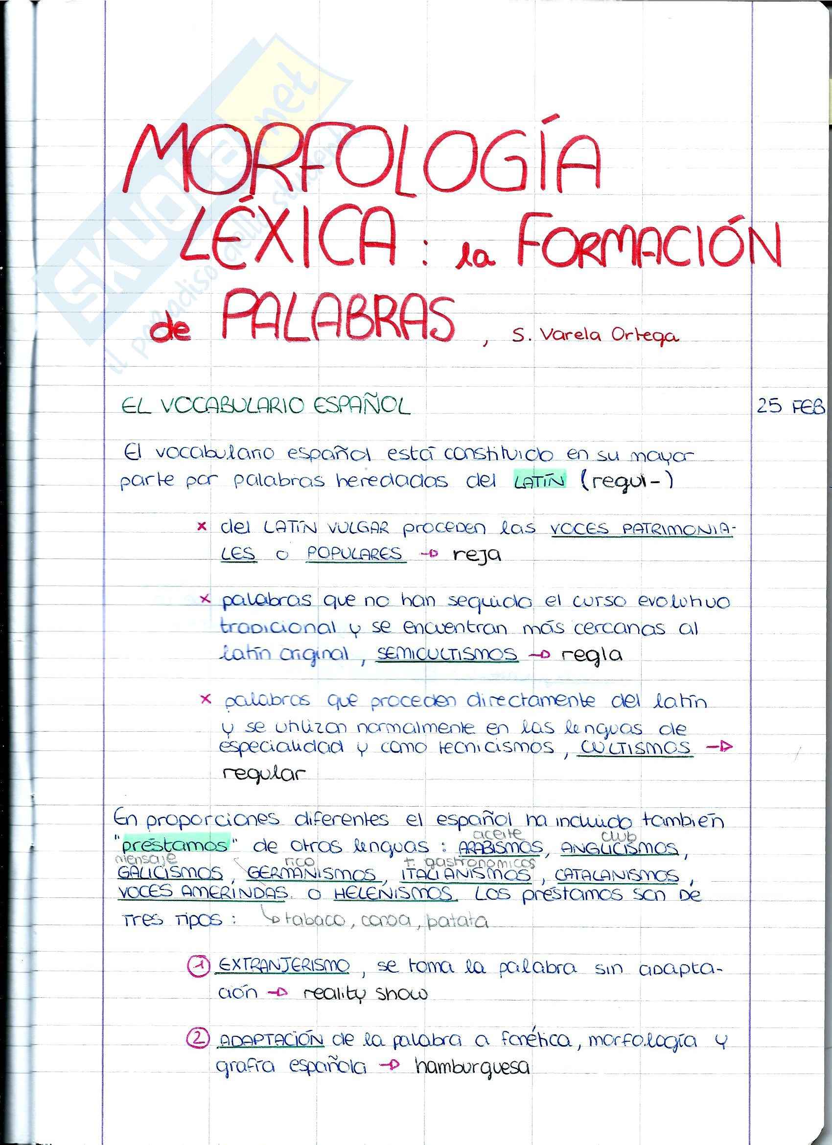 Riassunto esame Morfologia Lexica e appunti (1), prof. Del Carmen Pag. 1