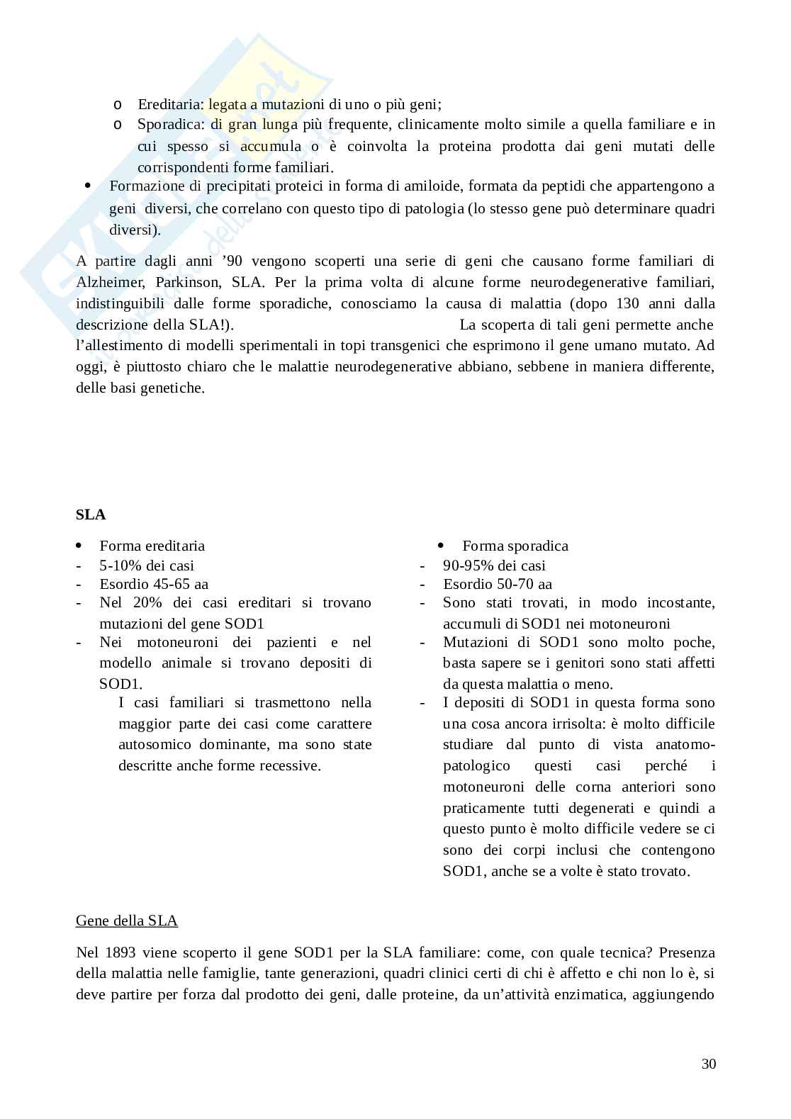 Lezioni di Neuropatologia Pag. 31