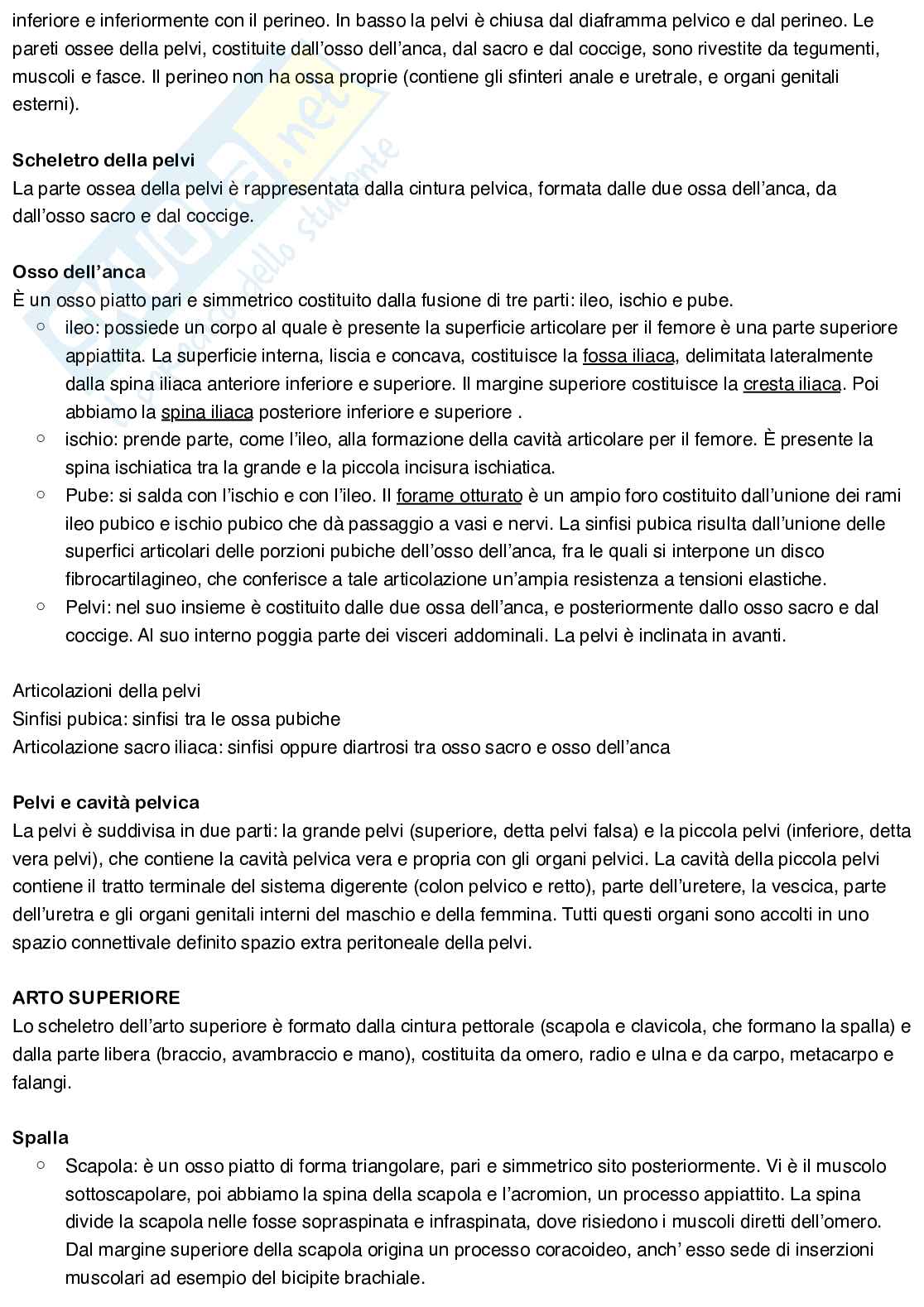 Anatomia umana Pag. 11