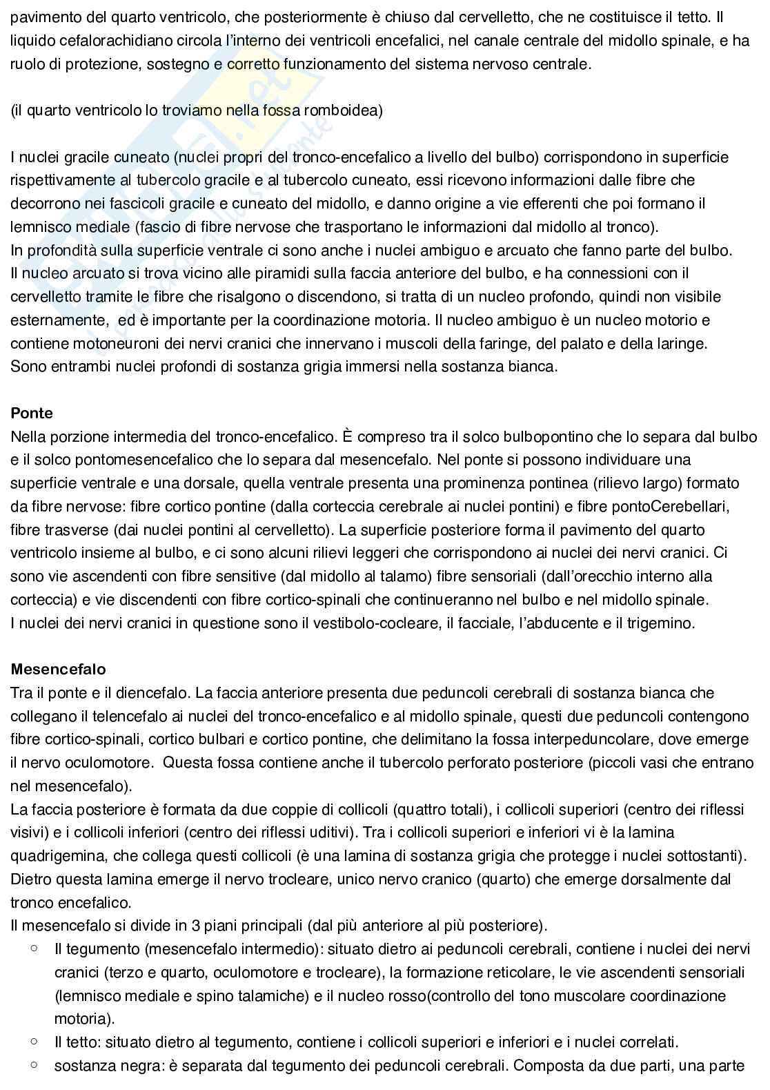 Anatomia umana Pag. 16
