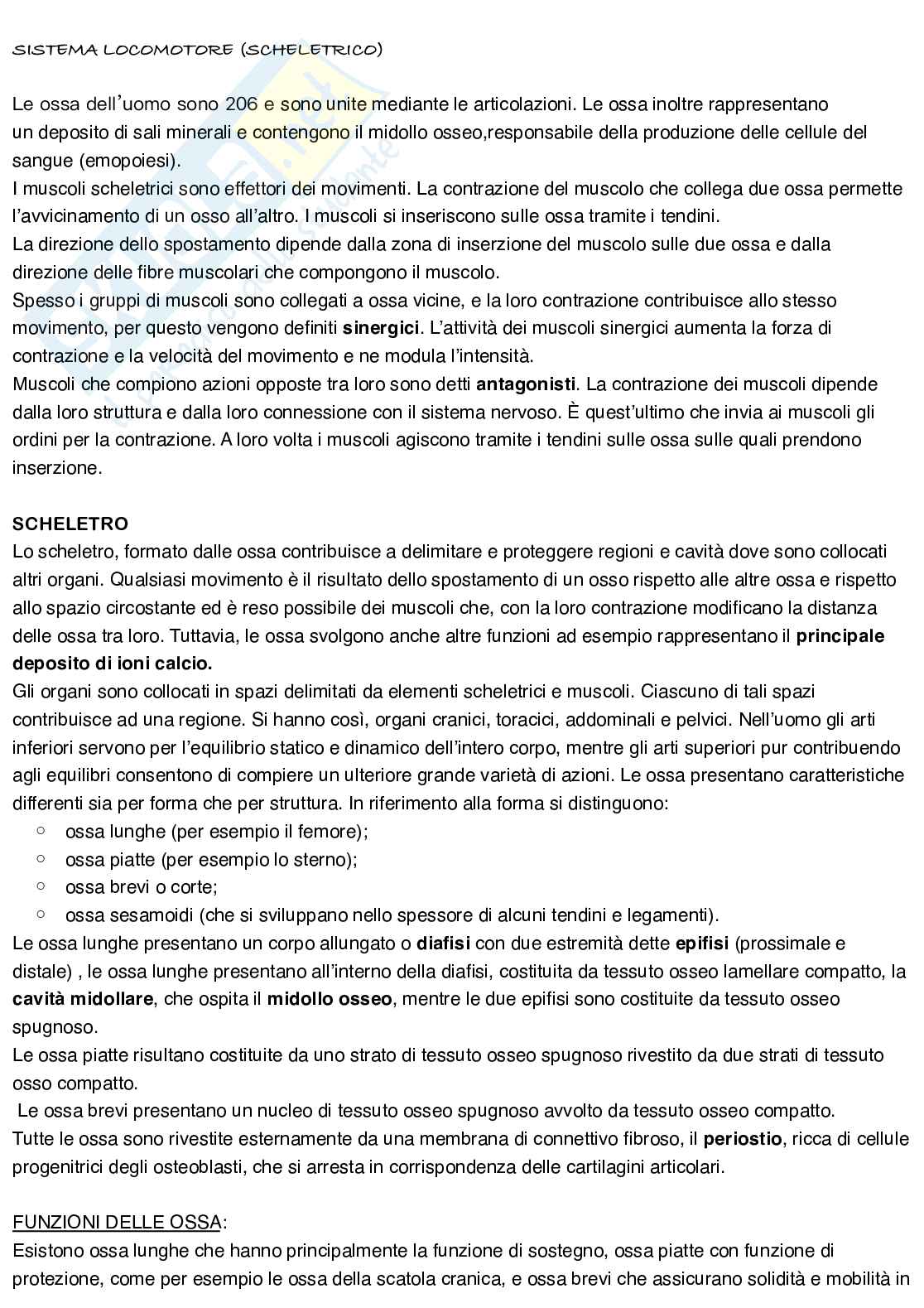 Anatomia umana Pag. 2