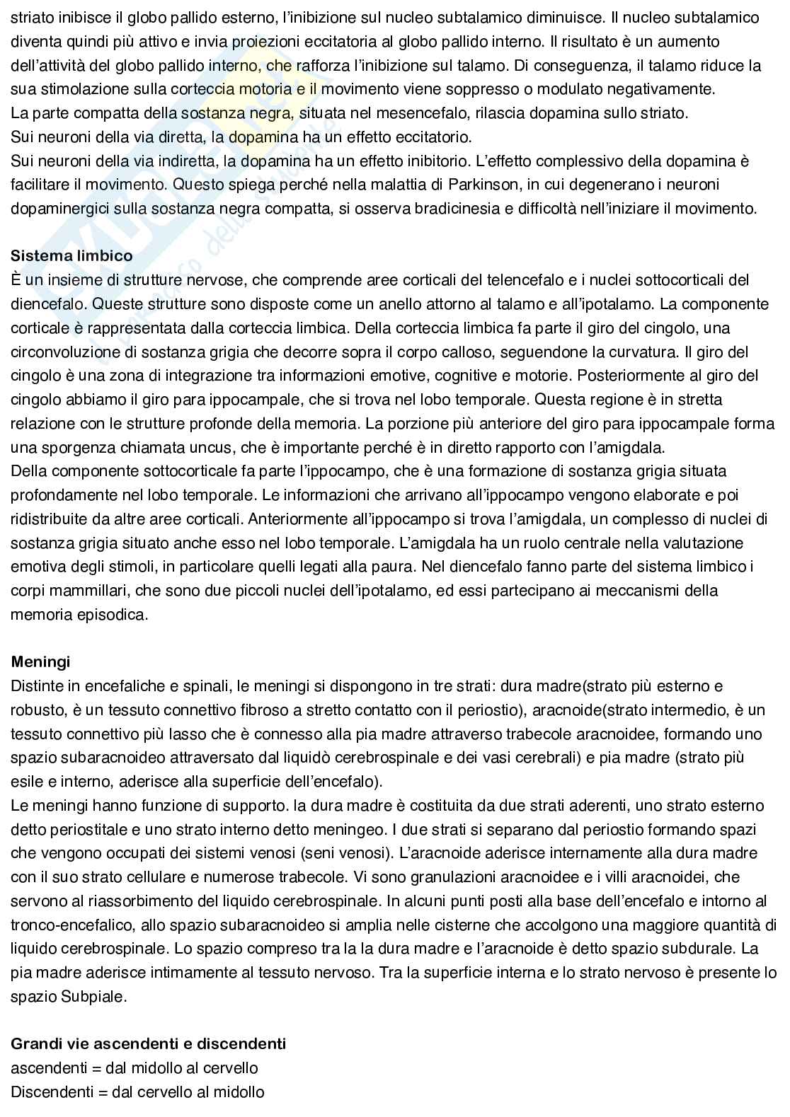 Anatomia umana Pag. 21