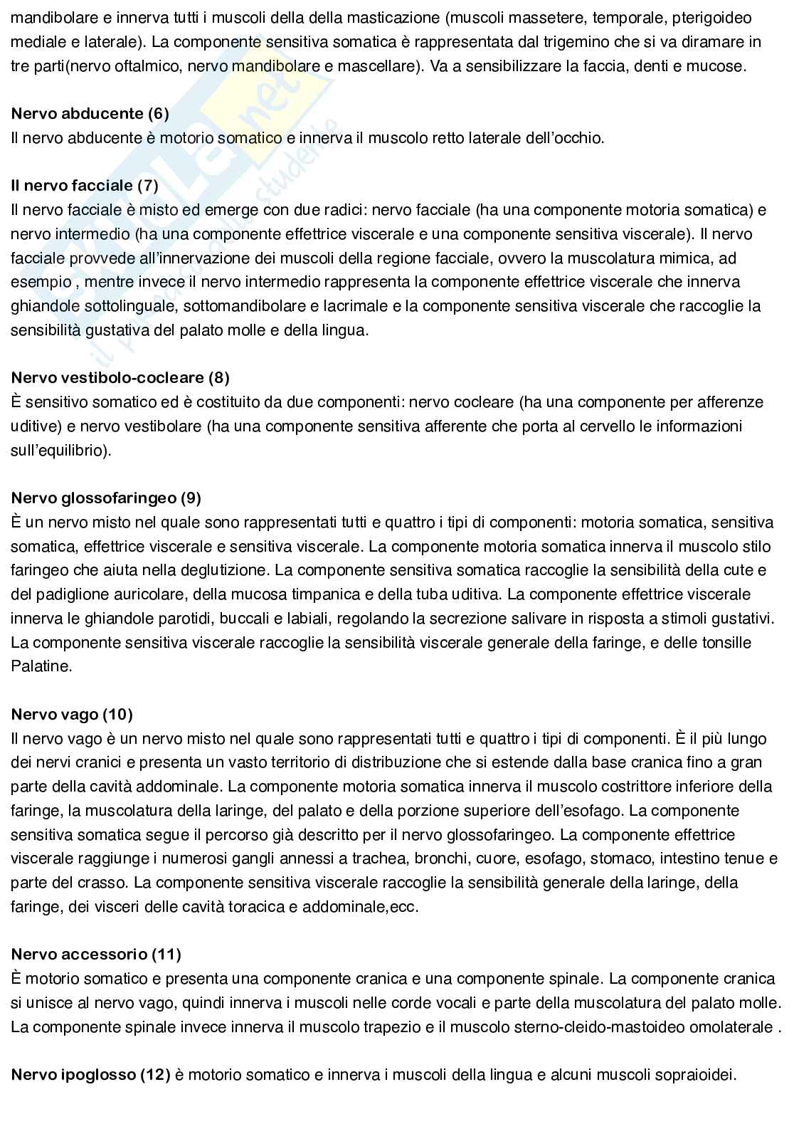 Anatomia umana Pag. 26