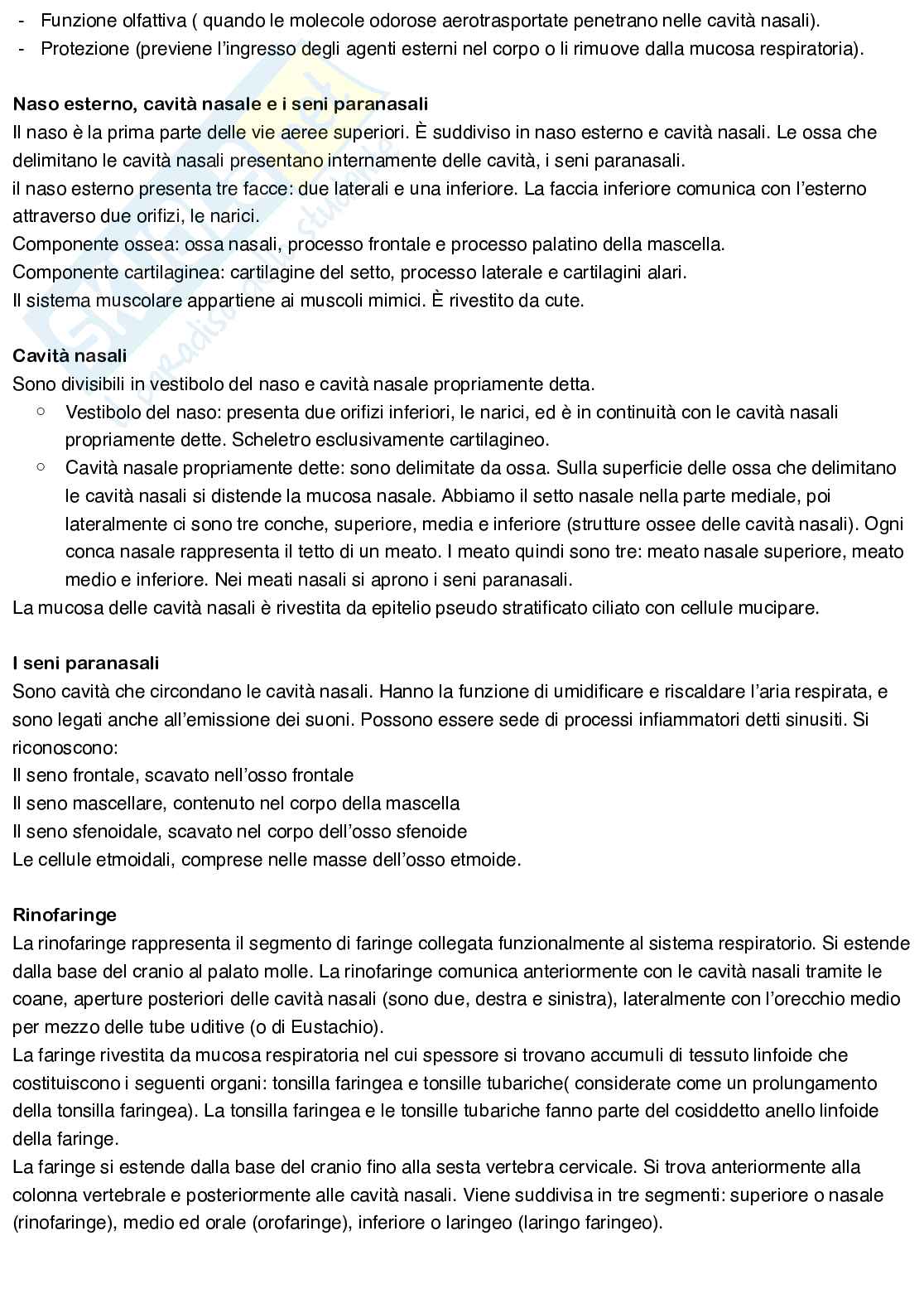 Anatomia umana Pag. 31