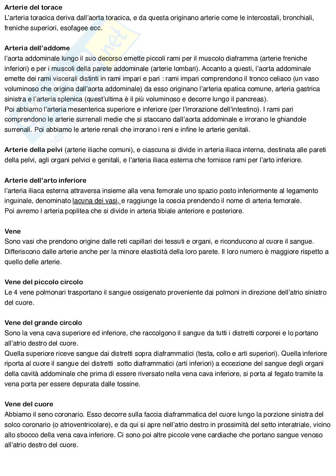 Anatomia umana Pag. 41