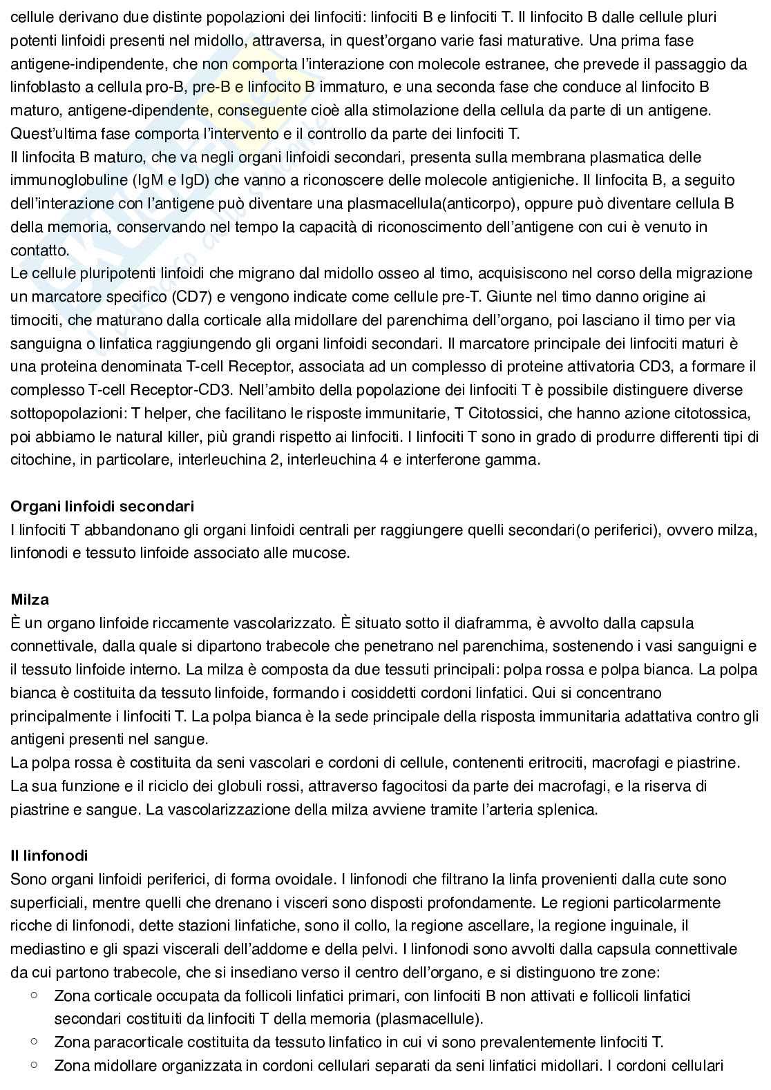 Anatomia umana Pag. 46
