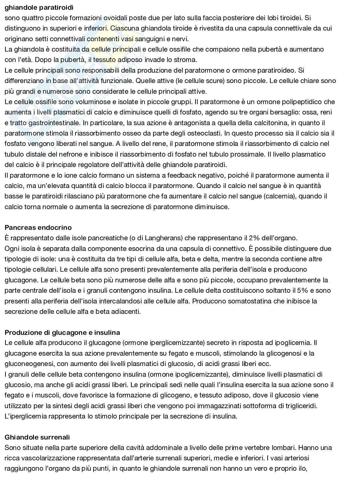 Anatomia umana Pag. 51