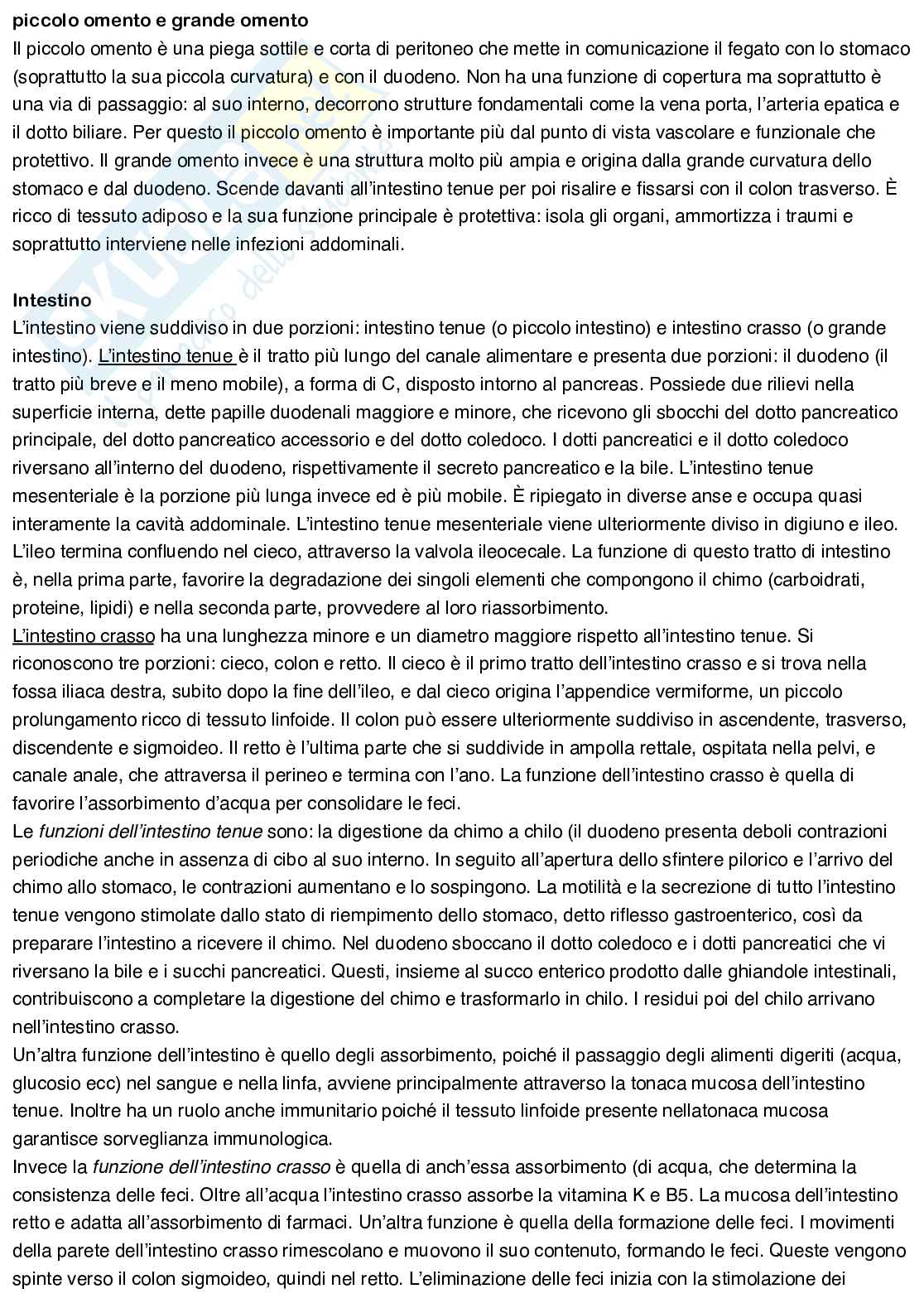 Anatomia umana Pag. 56
