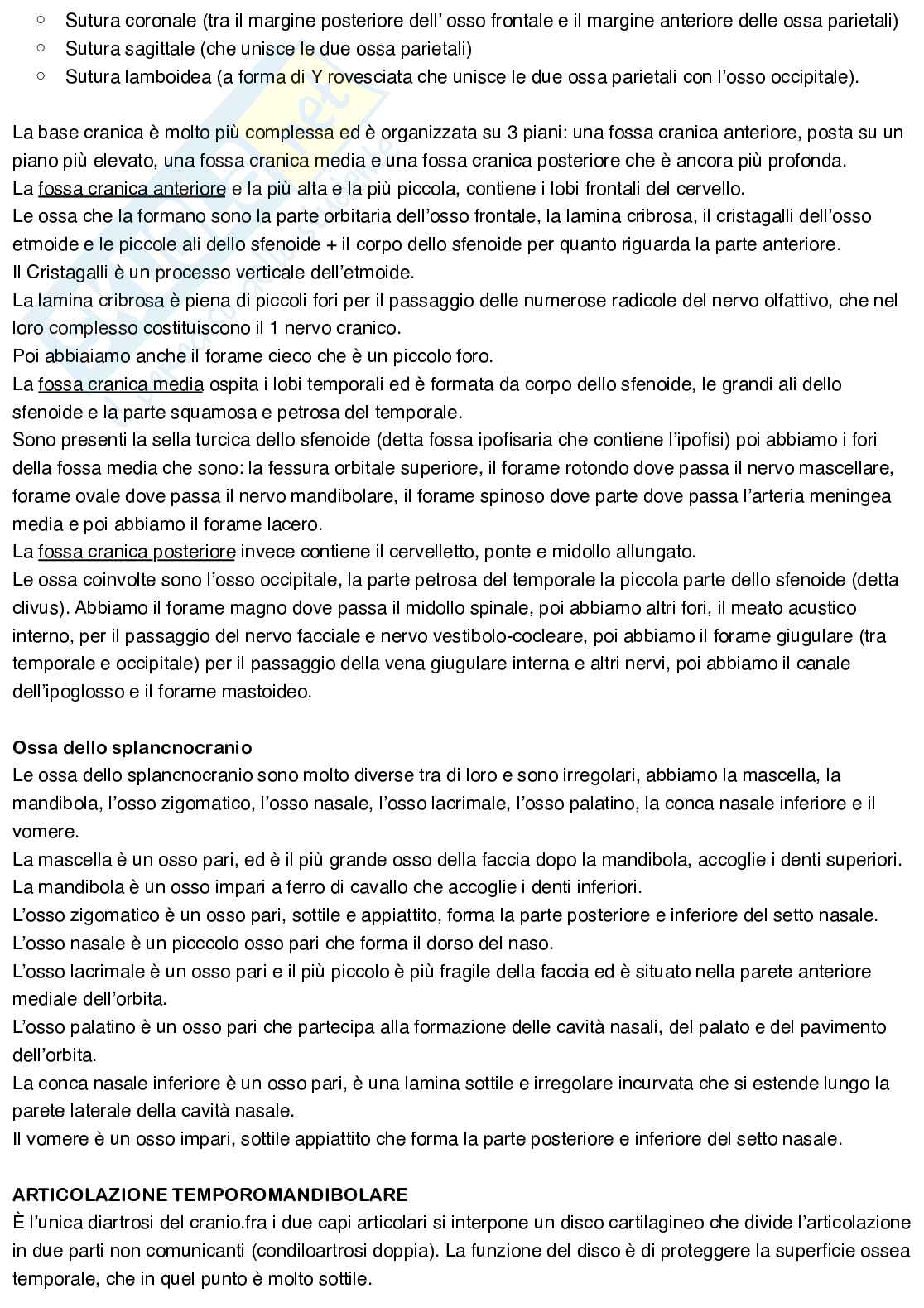 Anatomia umana Pag. 6