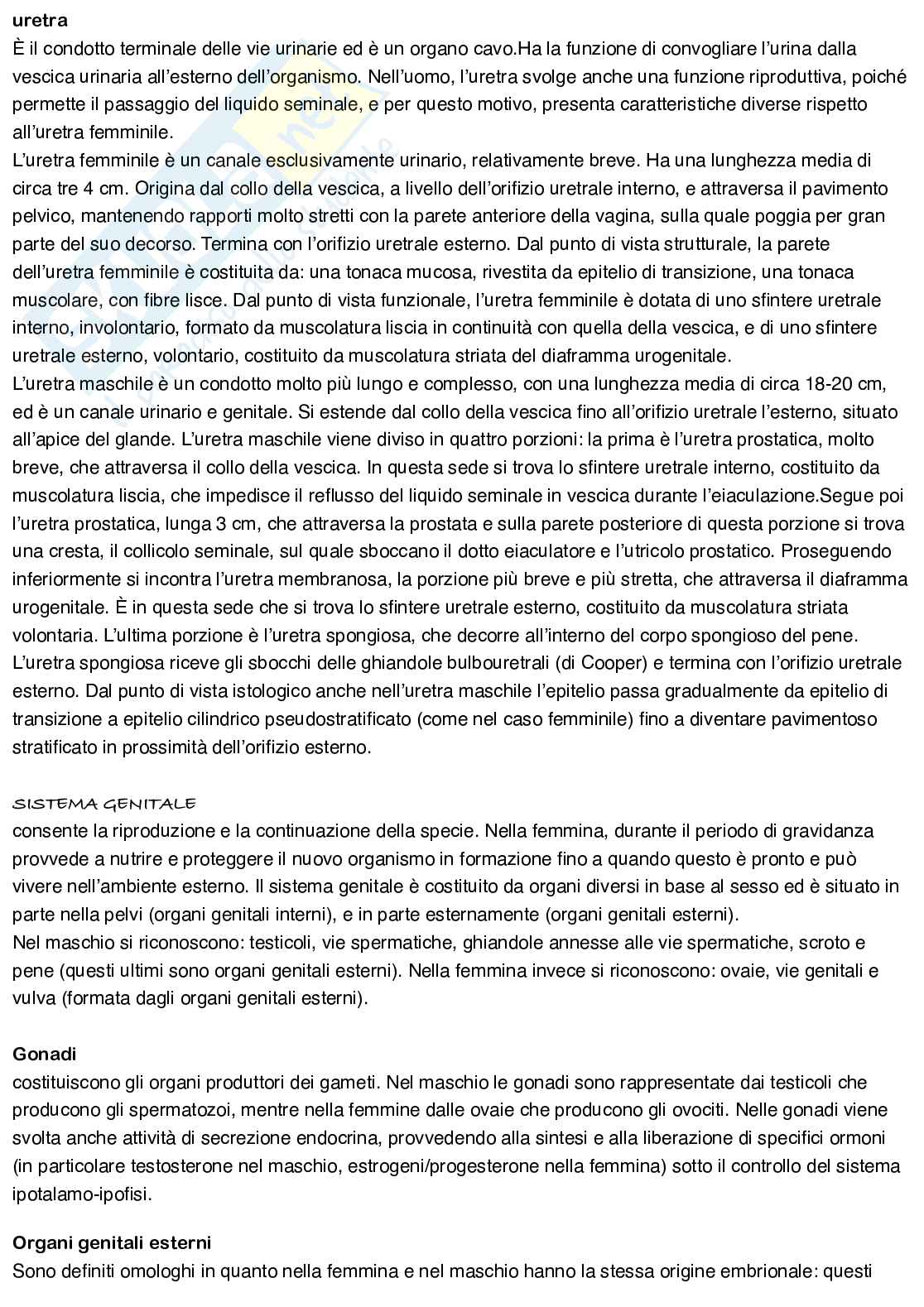 Anatomia umana Pag. 61