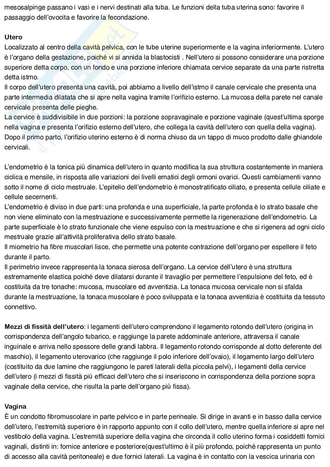 Anatomia umana Pag. 66