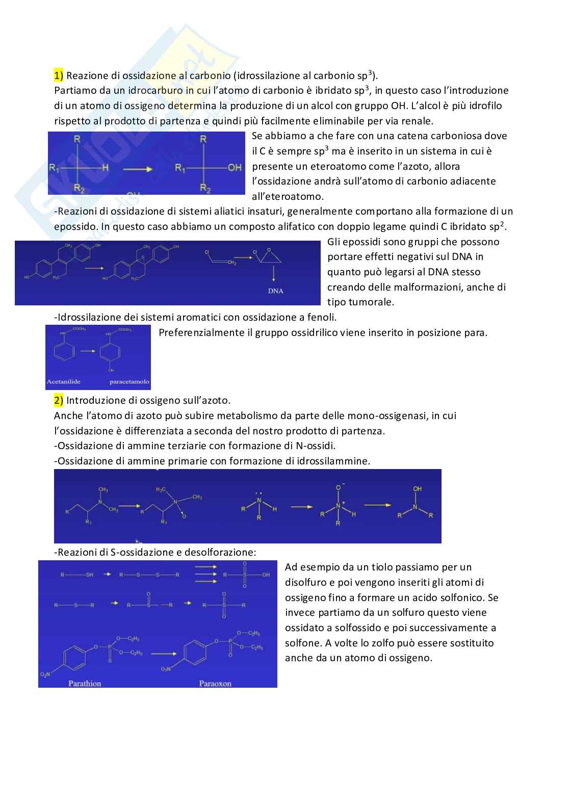 Riassunto esame Chimica farmaceutica 1 e fitochimica, Prof. Cottiglia Filippo, libro consigliato Principi di chimica farmaceutica , Lemke, Williams Pag. 21