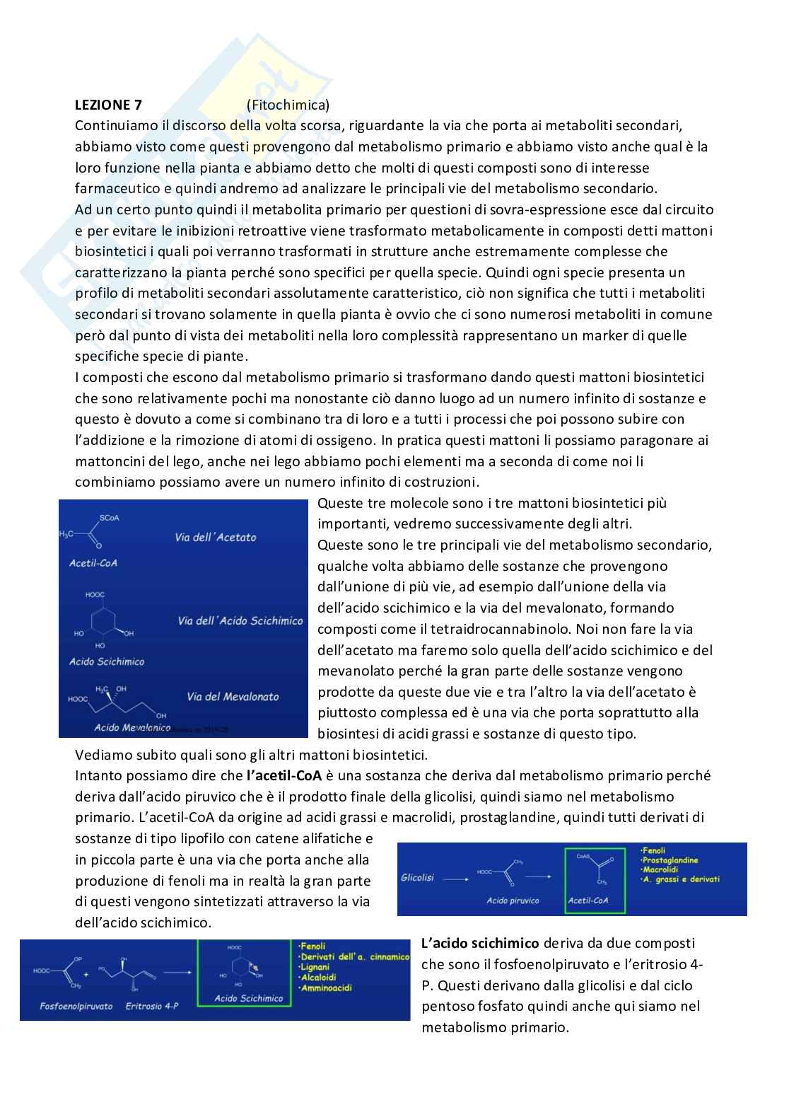 Riassunto esame Chimica farmaceutica 1 e fitochimica, Prof. Cottiglia Filippo, libro consigliato Principi di chimica farmaceutica , Lemke, Williams Pag. 51