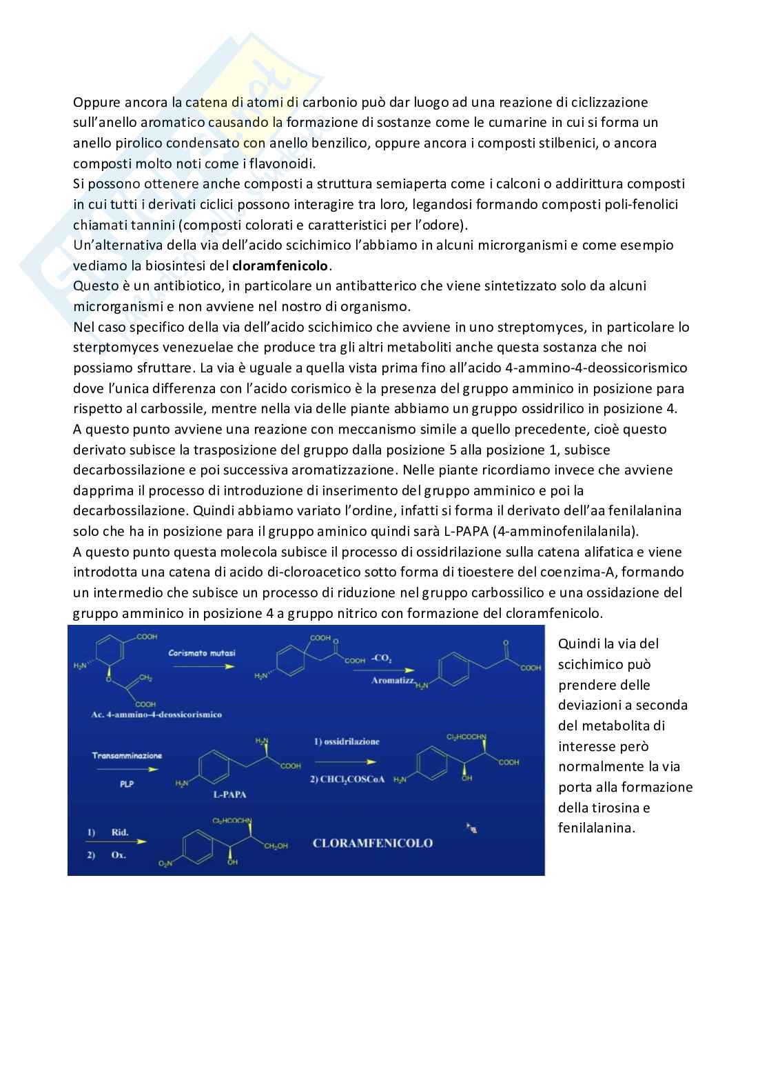 Riassunto esame Chimica farmaceutica 1 e fitochimica, Prof. Cottiglia Filippo, libro consigliato Principi di chimica farmaceutica , Lemke, Williams Pag. 56