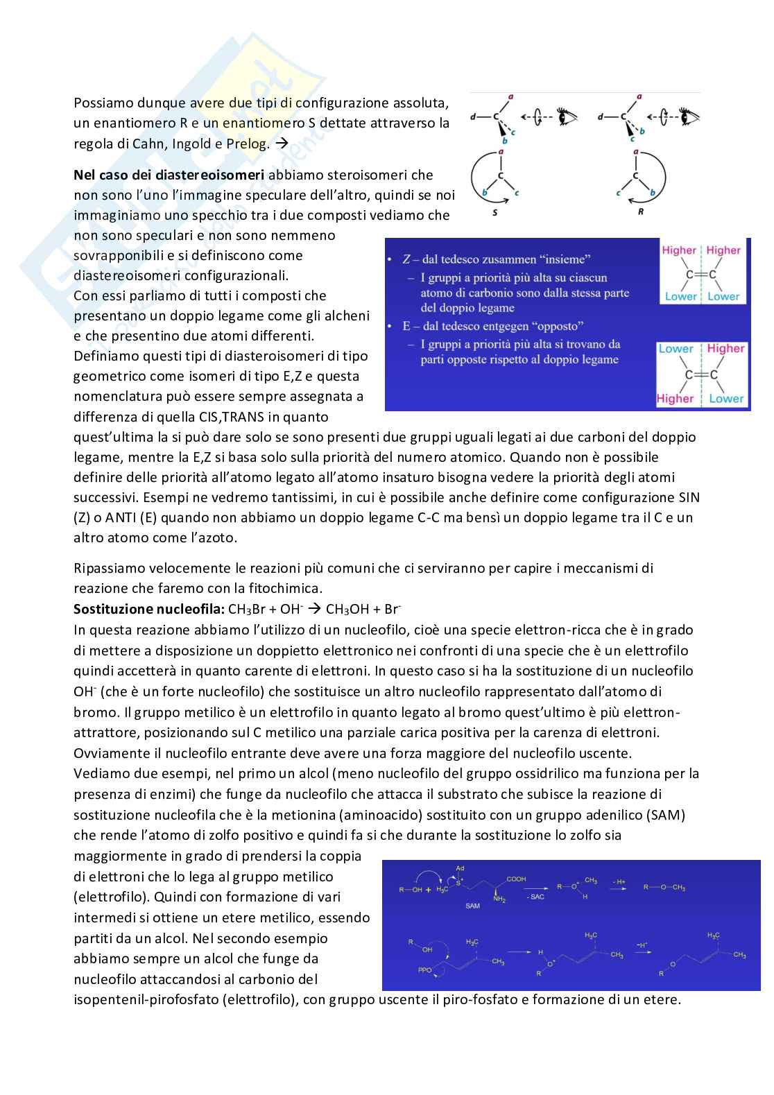Riassunto esame Chimica farmaceutica 1 e fitochimica, Prof. Cottiglia Filippo, libro consigliato Principi di chimica farmaceutica , Lemke, Williams Pag. 6