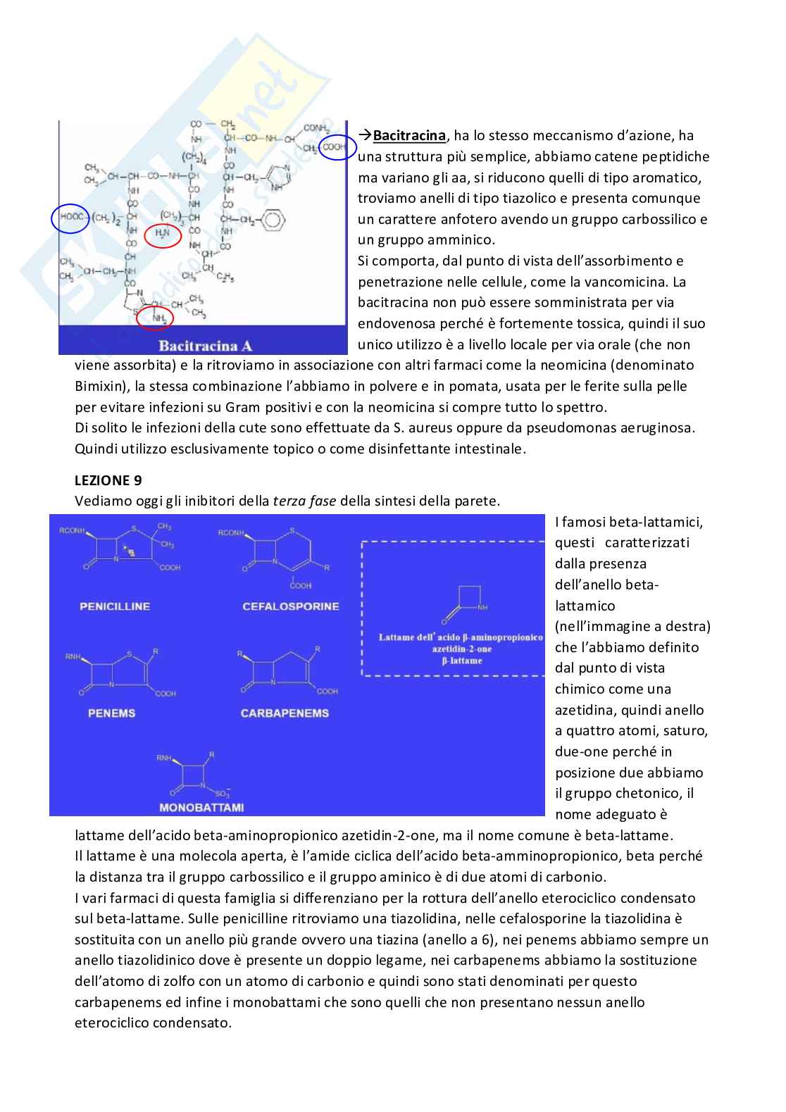 Riassunto esame Chimica farmaceutica 1 e fitochimica, Prof. Cottiglia Filippo, libro consigliato Principi di chimica farmaceutica , Lemke, Williams Pag. 66