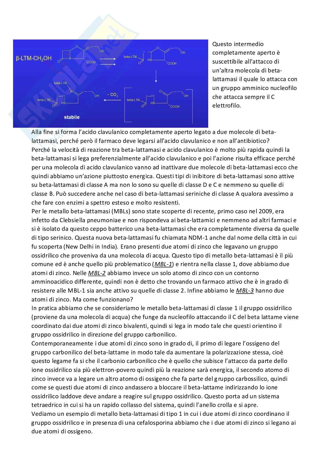 Riassunto esame Chimica farmaceutica 1 e fitochimica, Prof. Cottiglia Filippo, libro consigliato Principi di chimica farmaceutica , Lemke, Williams Pag. 81