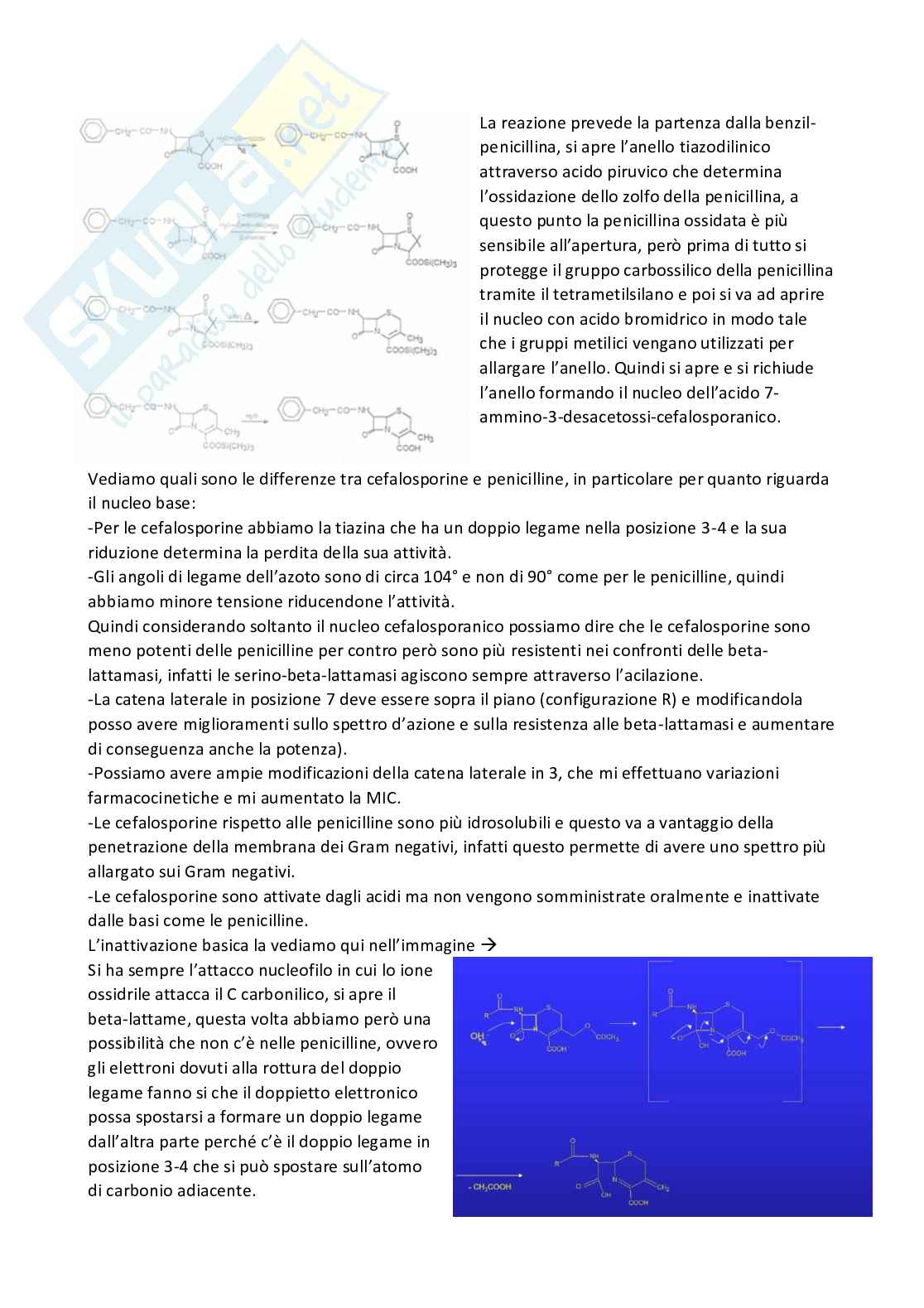 Riassunto esame Chimica farmaceutica 1 e fitochimica, Prof. Cottiglia Filippo, libro consigliato Principi di chimica farmaceutica , Lemke, Williams Pag. 86