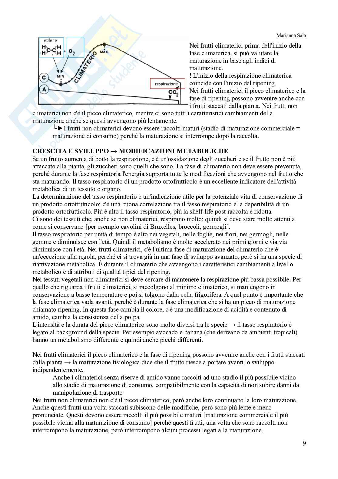 Alimenti di origine vegetale  Pag. 11