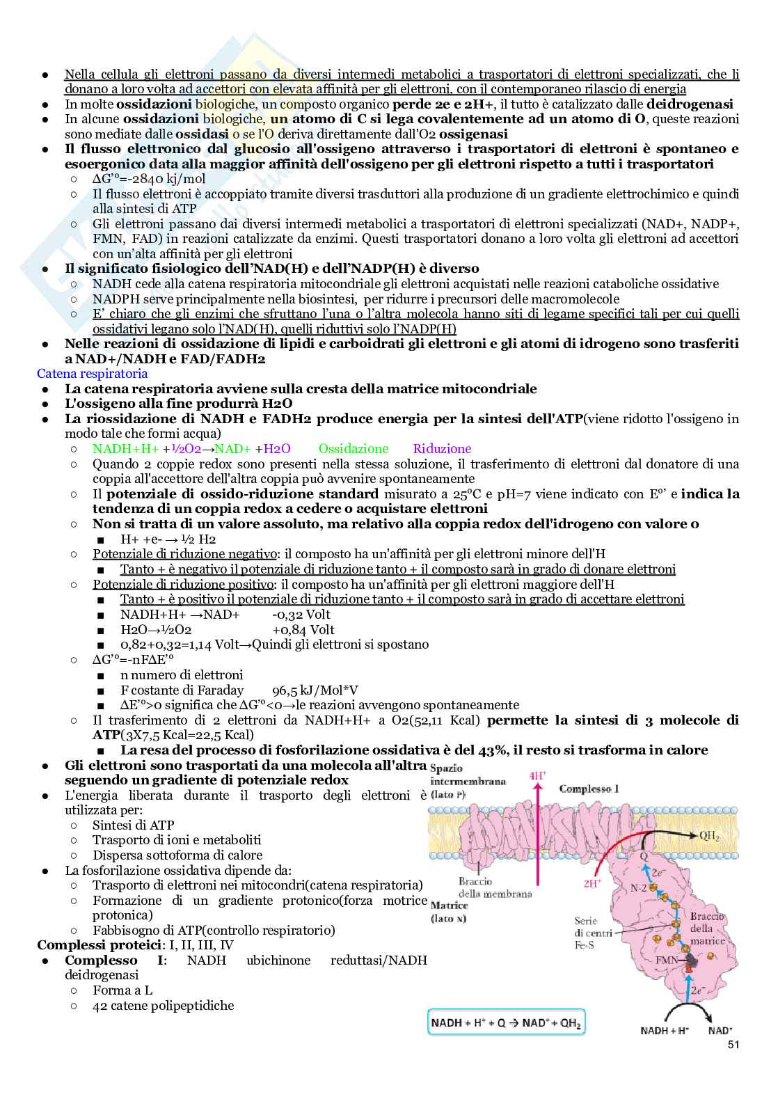 Biochima 1 e Biochimica 2 Pag. 51