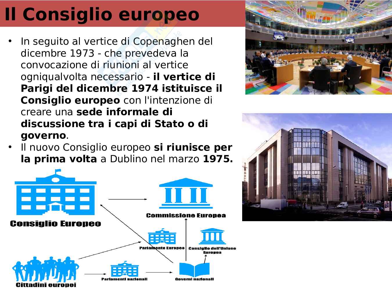 Studio dei fondamenti di Diritto dell'Unione Europea  Pag. 31