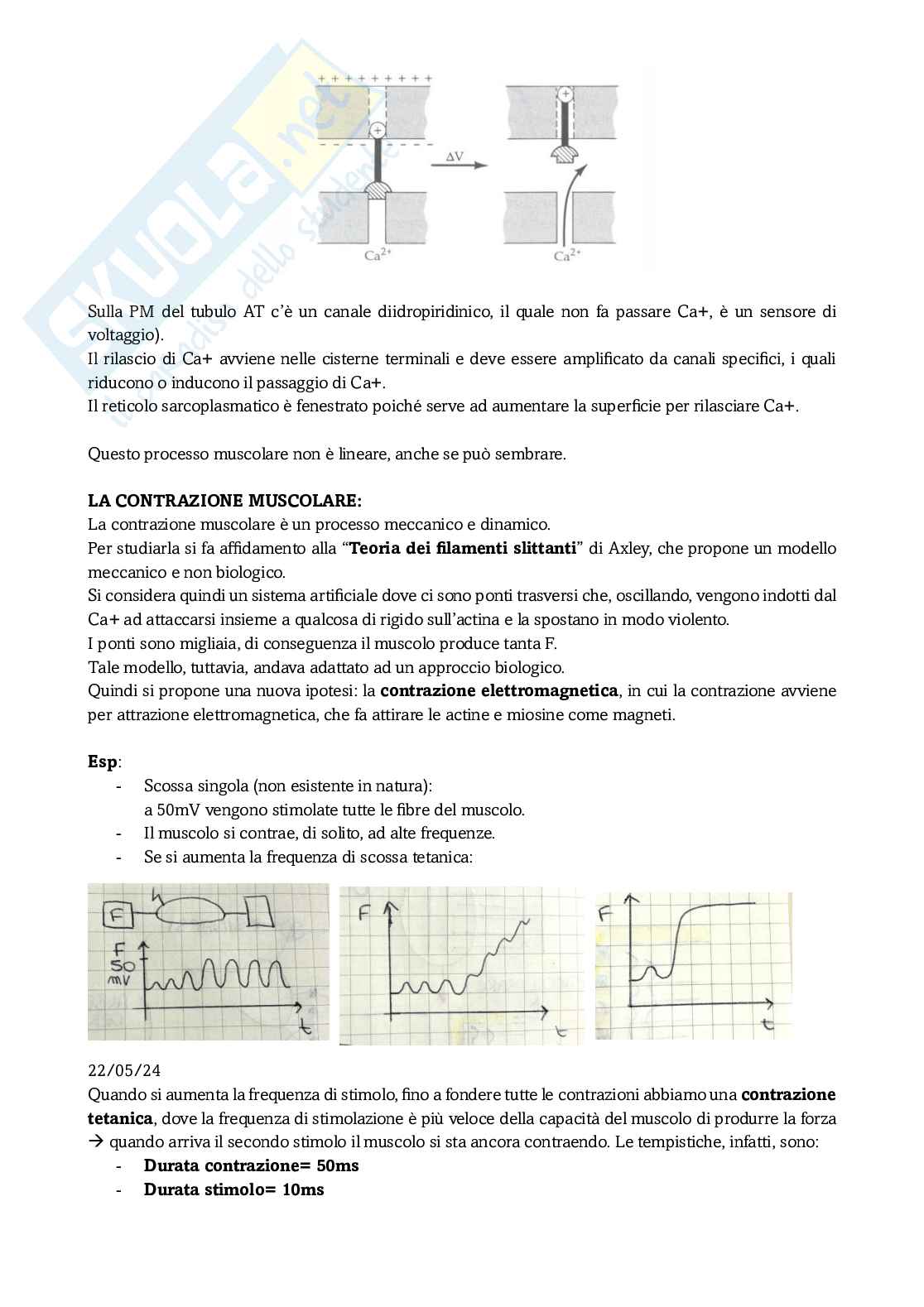 Appunti secondo modulo di Fisiologia Pag. 11