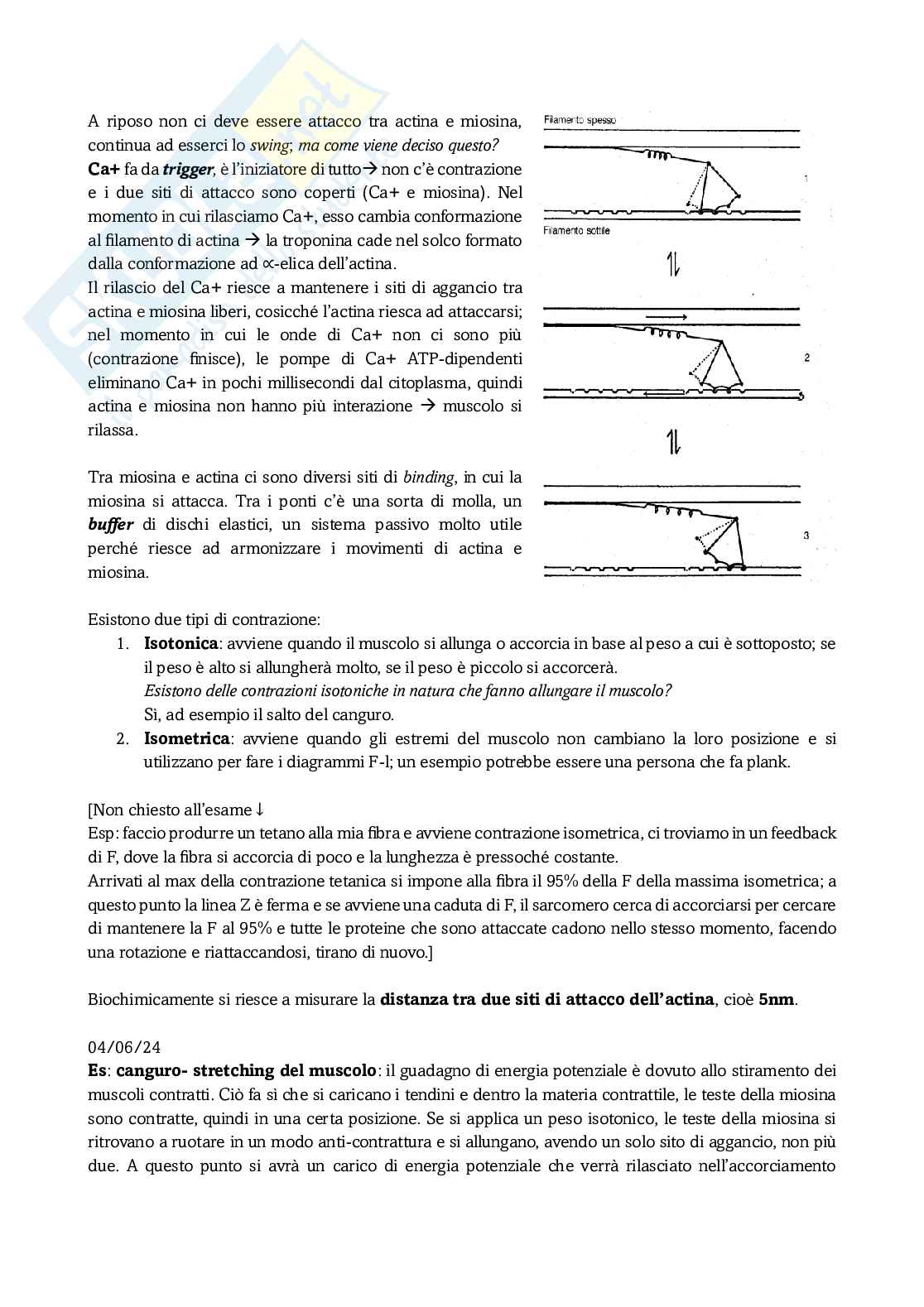 Appunti secondo modulo di Fisiologia Pag. 16