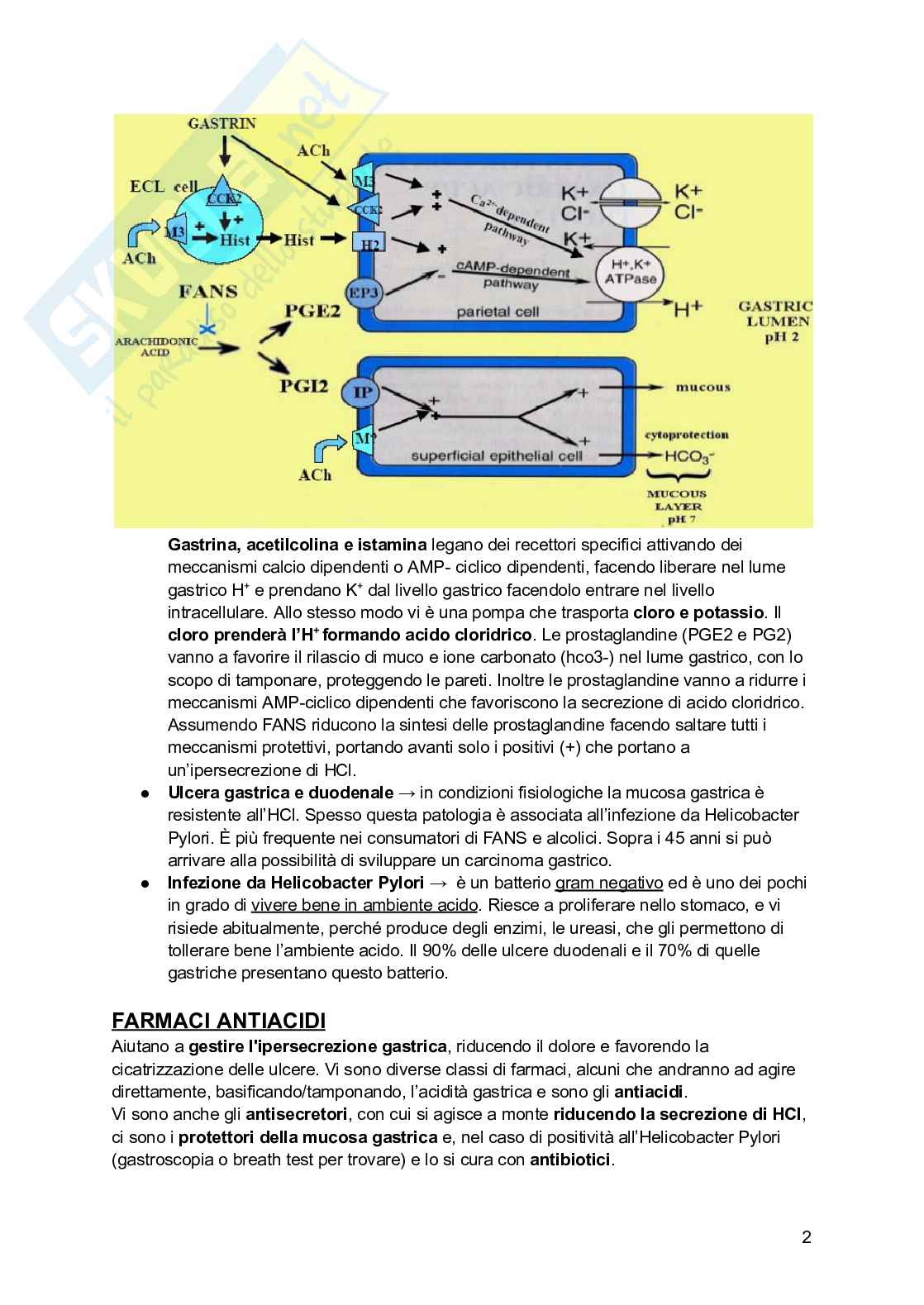 Farmaci dell'apparato digerente Pag. 2