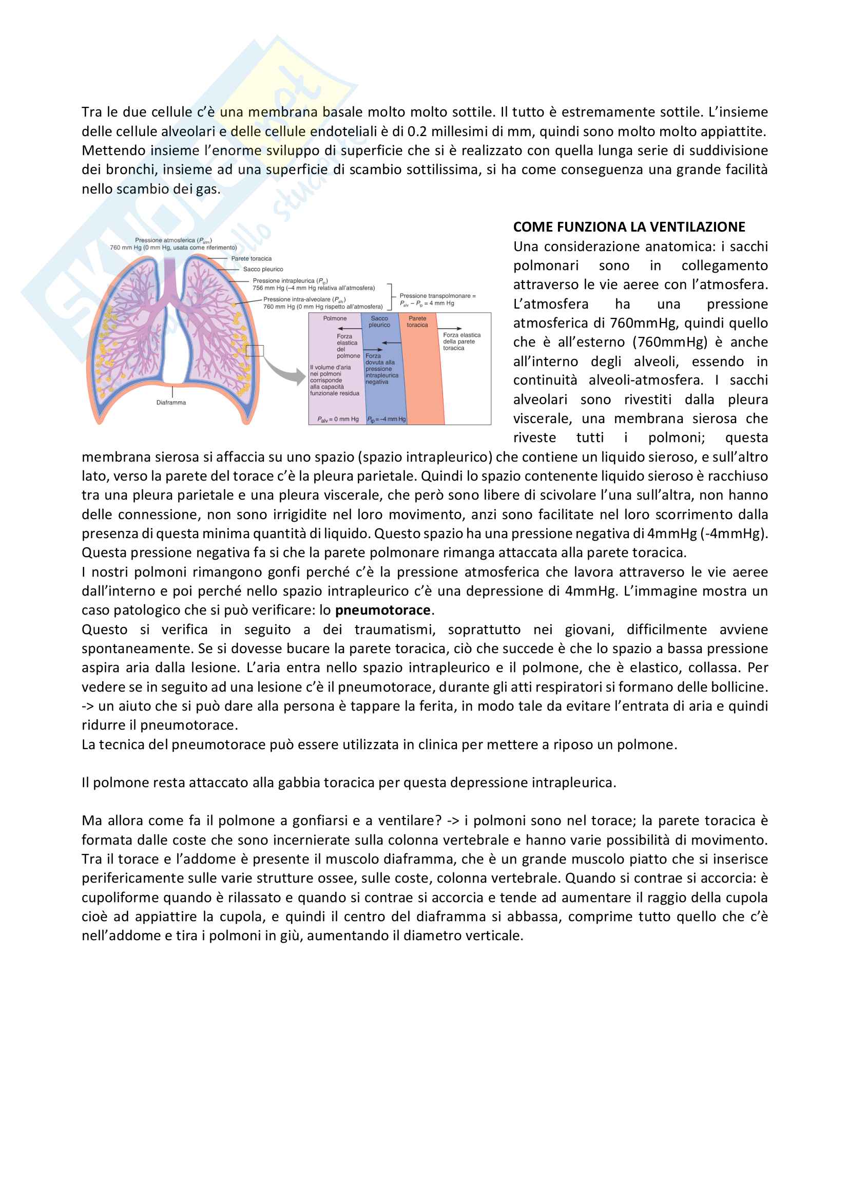 Fisiologia Pag. 66