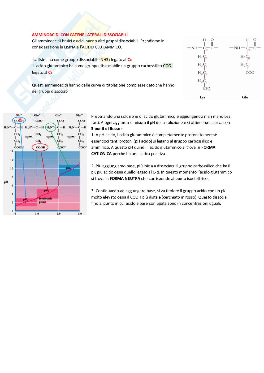 Amminoacidi Pag. 11