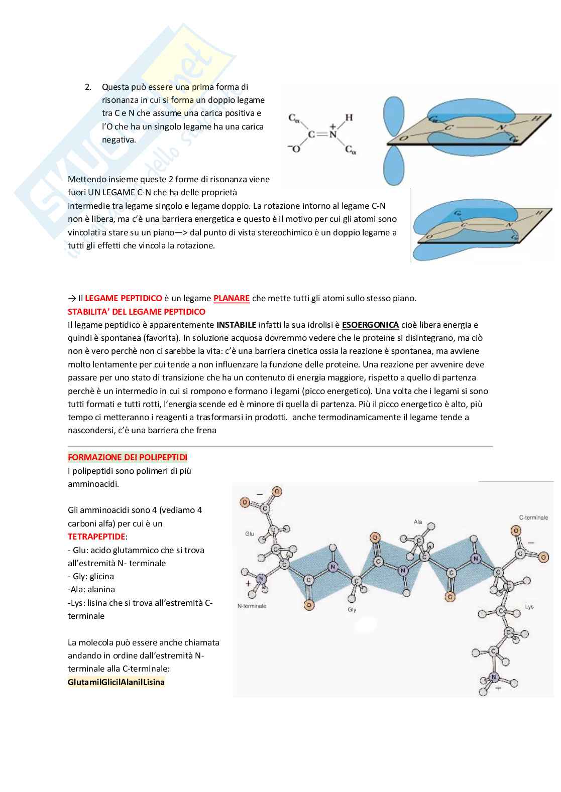 Amminoacidi Pag. 16