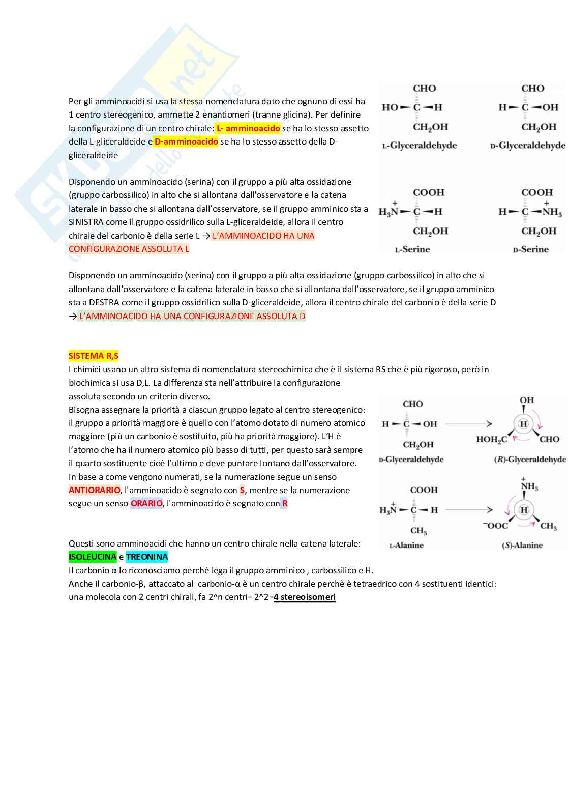 Amminoacidi Pag. 6