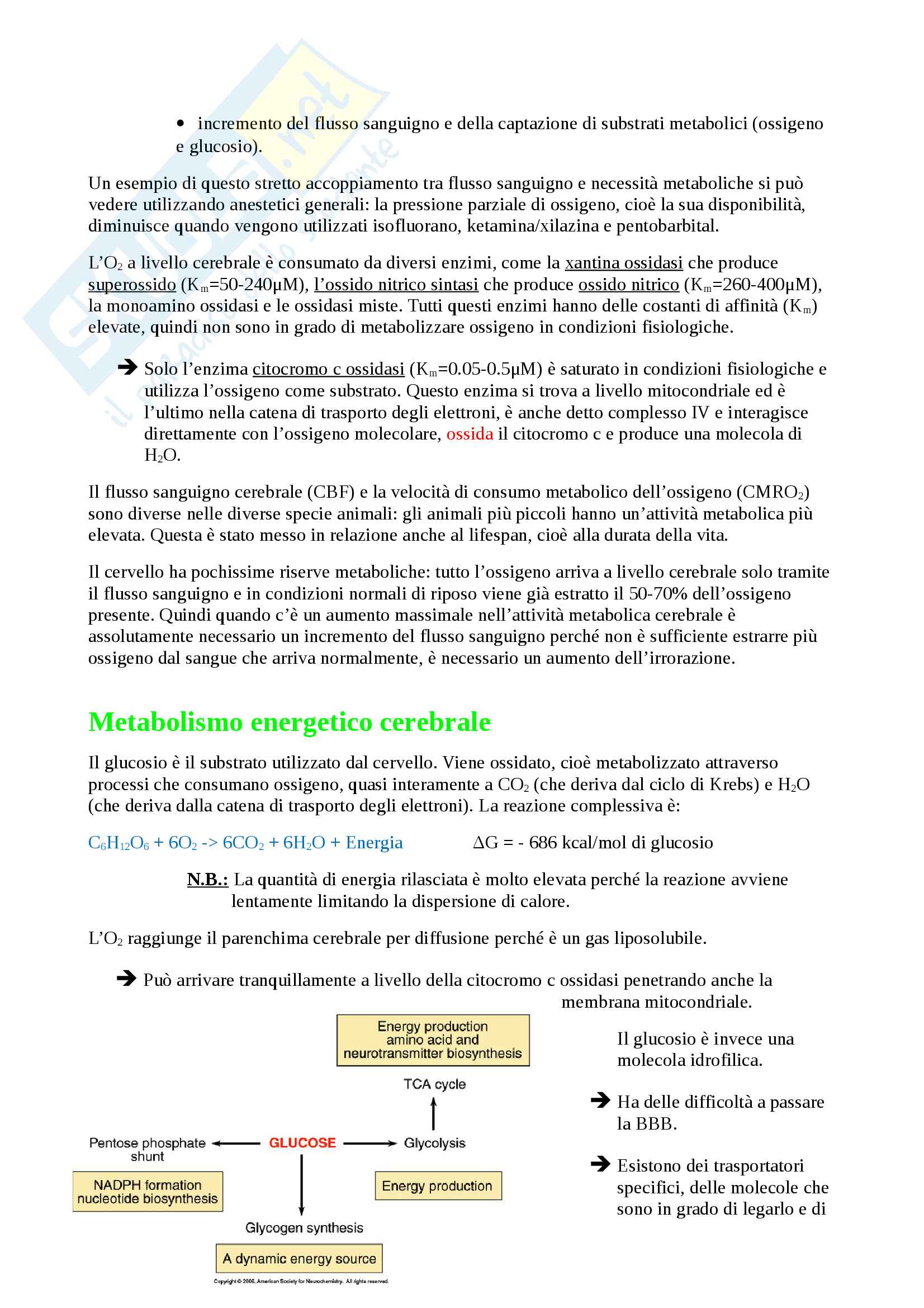 Appunti di neurochimica Pag. 16