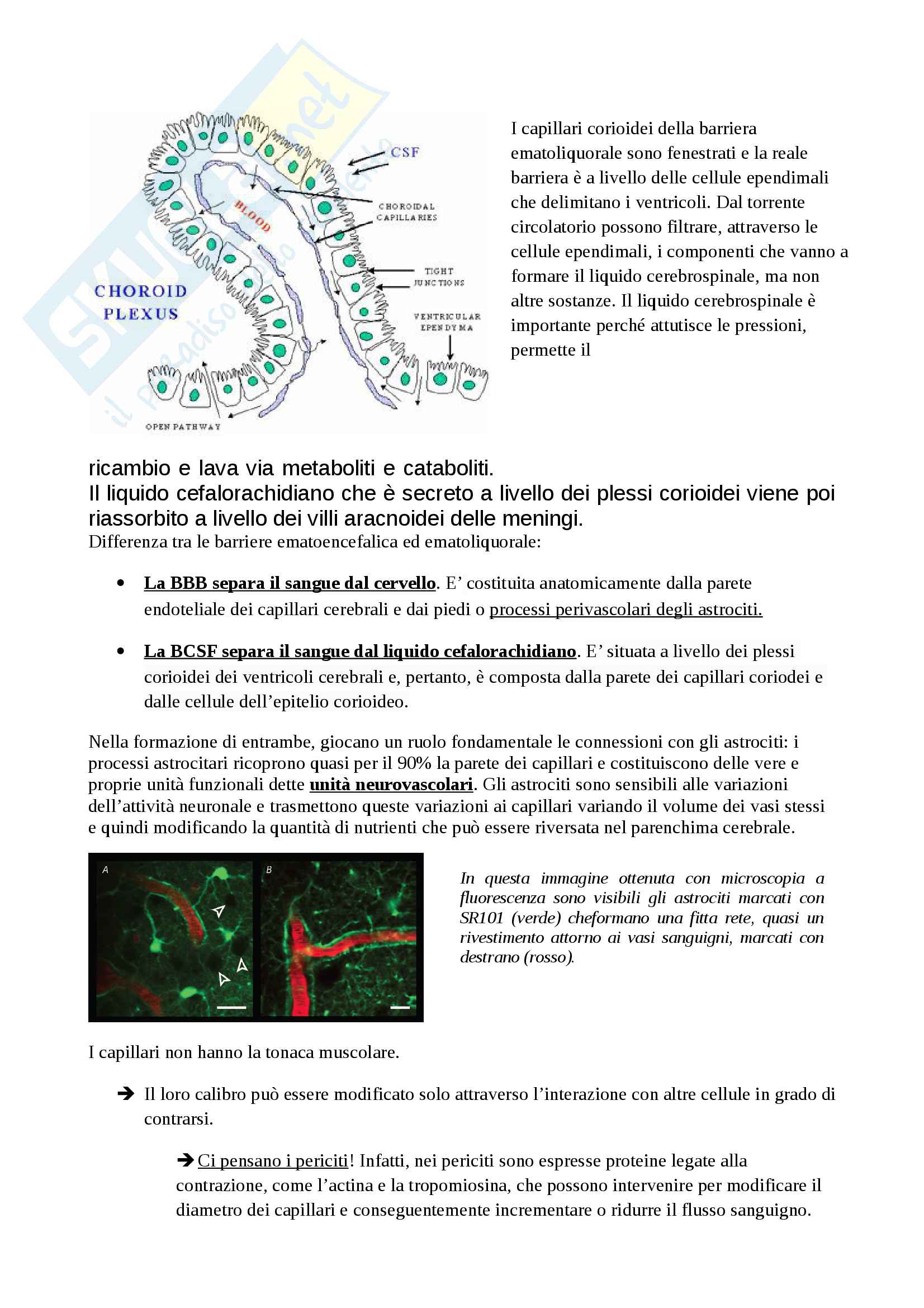 Appunti di neurochimica Pag. 2