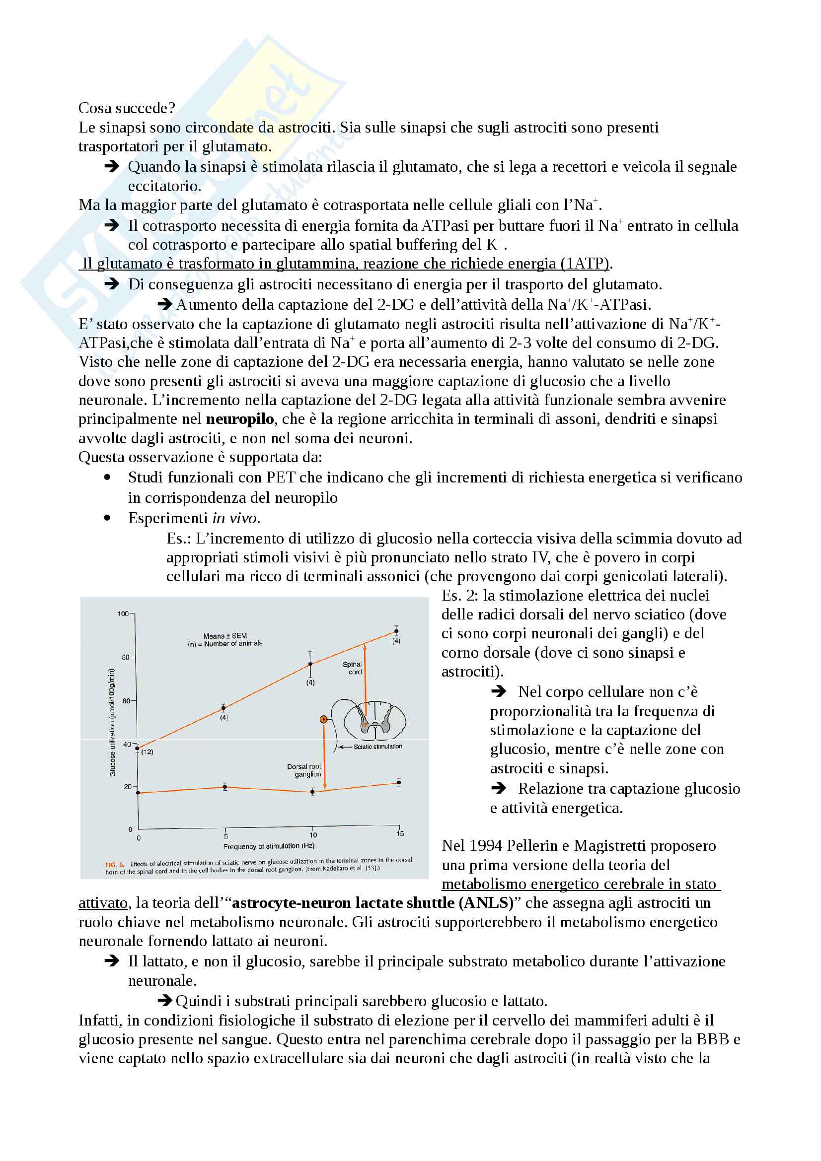 Appunti di neurochimica Pag. 41