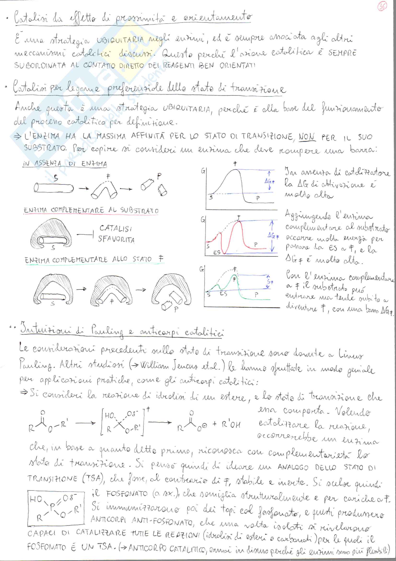 Biochimica I + II Pag. 36