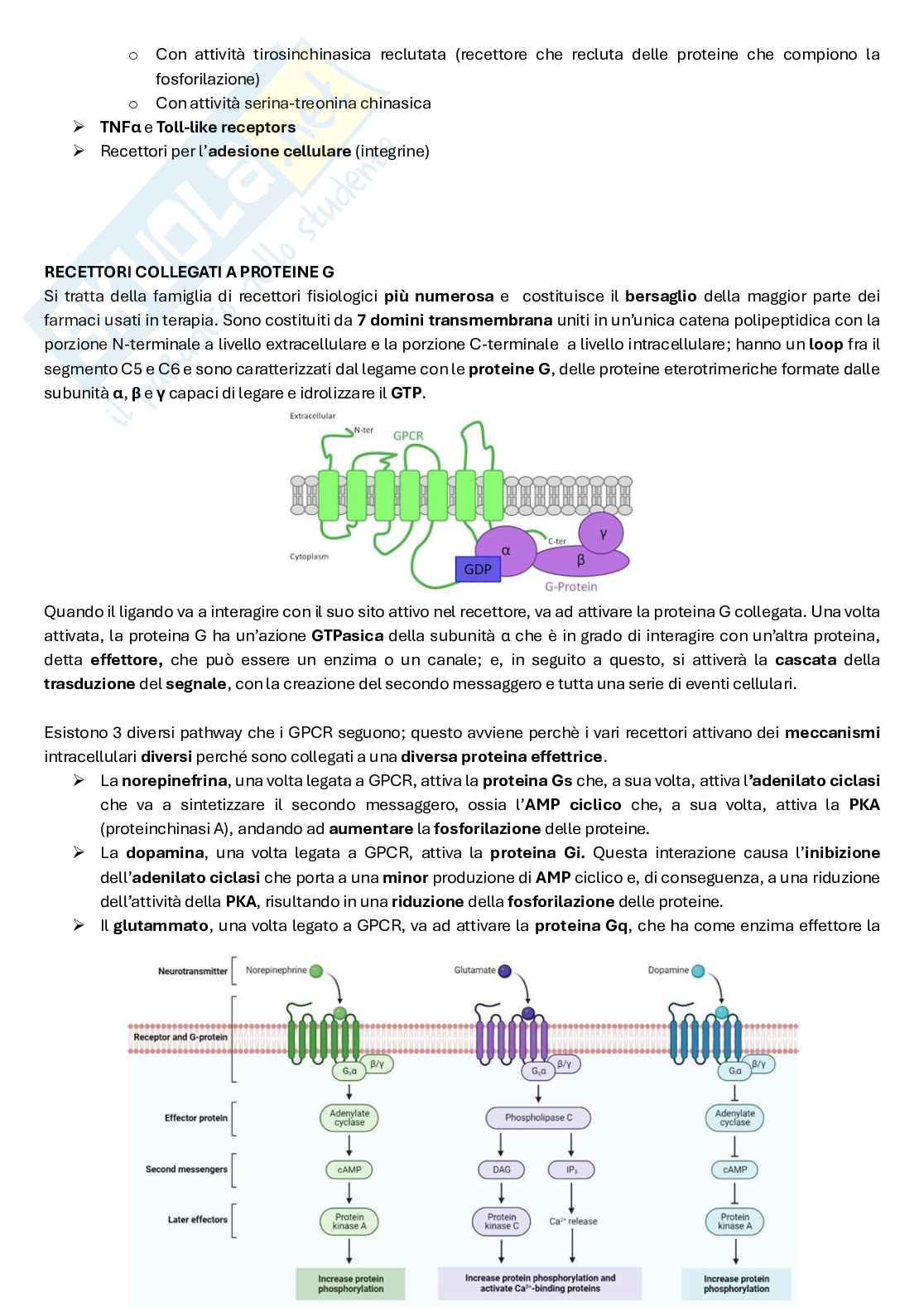 Principi generali di Farmacologia Pag. 21
