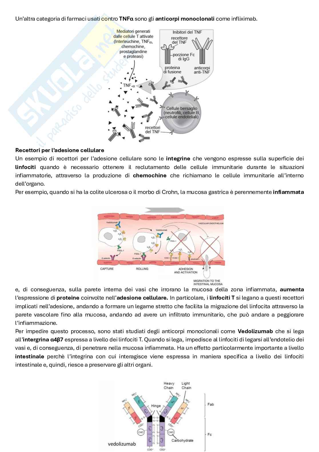 Principi generali di Farmacologia Pag. 36