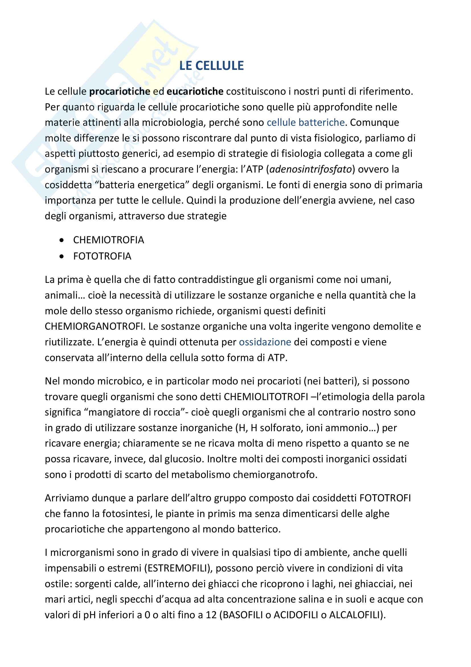 Cellule procariotiche ed eucariotiche Pag. 1
