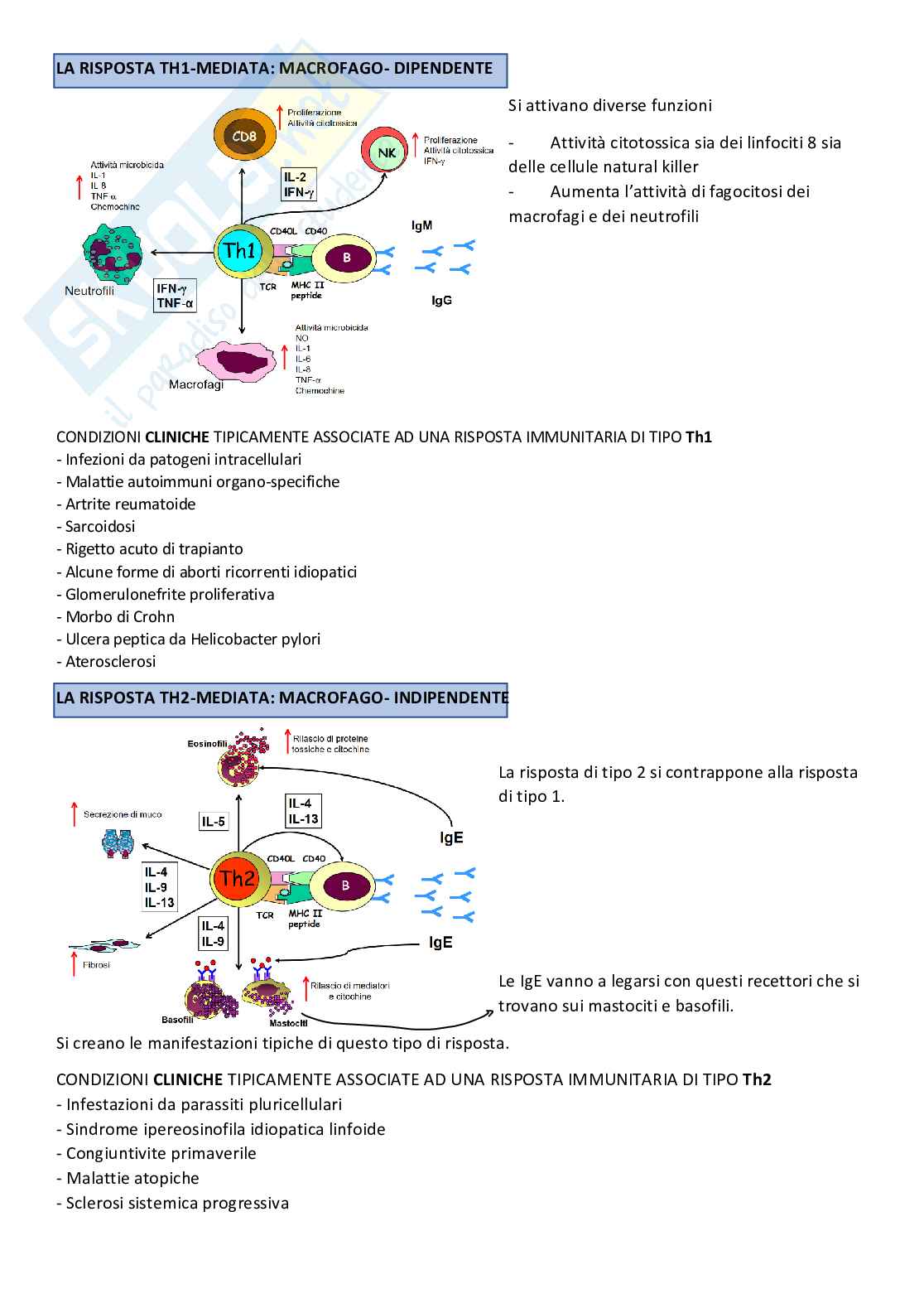 Appunti di Fisiopatologia Pag. 61
