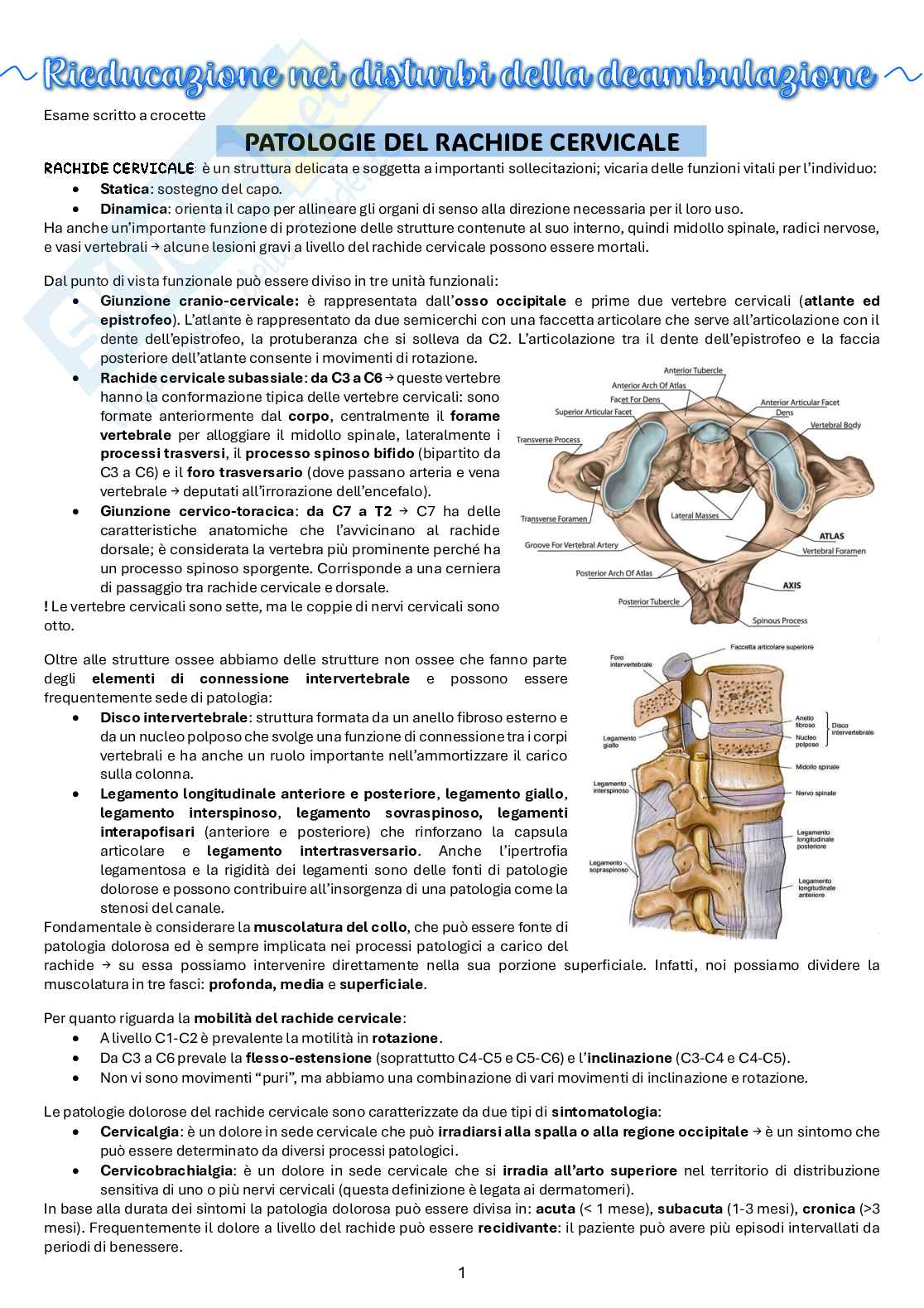 Appunti di riabilitazione nei disturbi della deambulazione Pag. 1