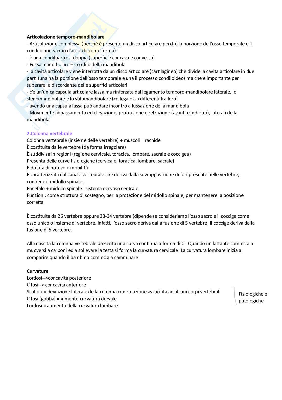 Riassunto esame Anatomia, Prof. Miloso Maria Rosaria, libro consigliato Anatomia umana, Martini, Tallitsch, Nath,Timmons Pag. 16
