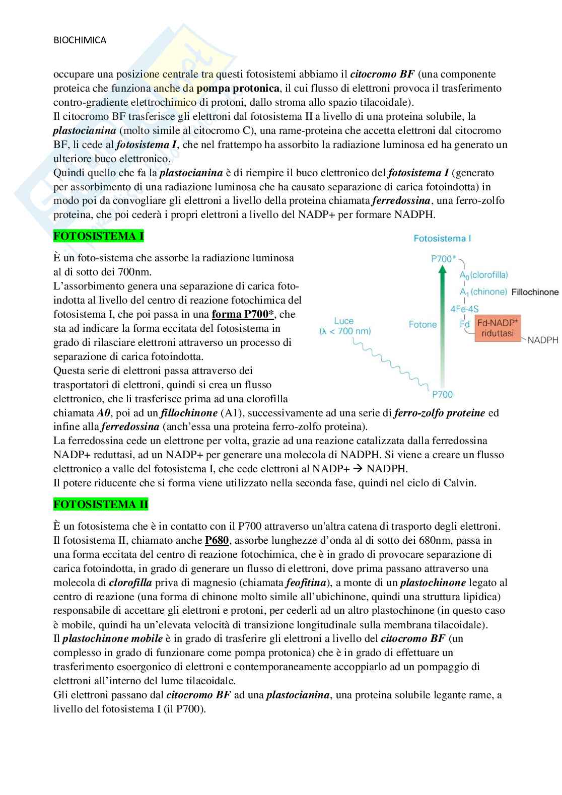 Biochimica  Pag. 41